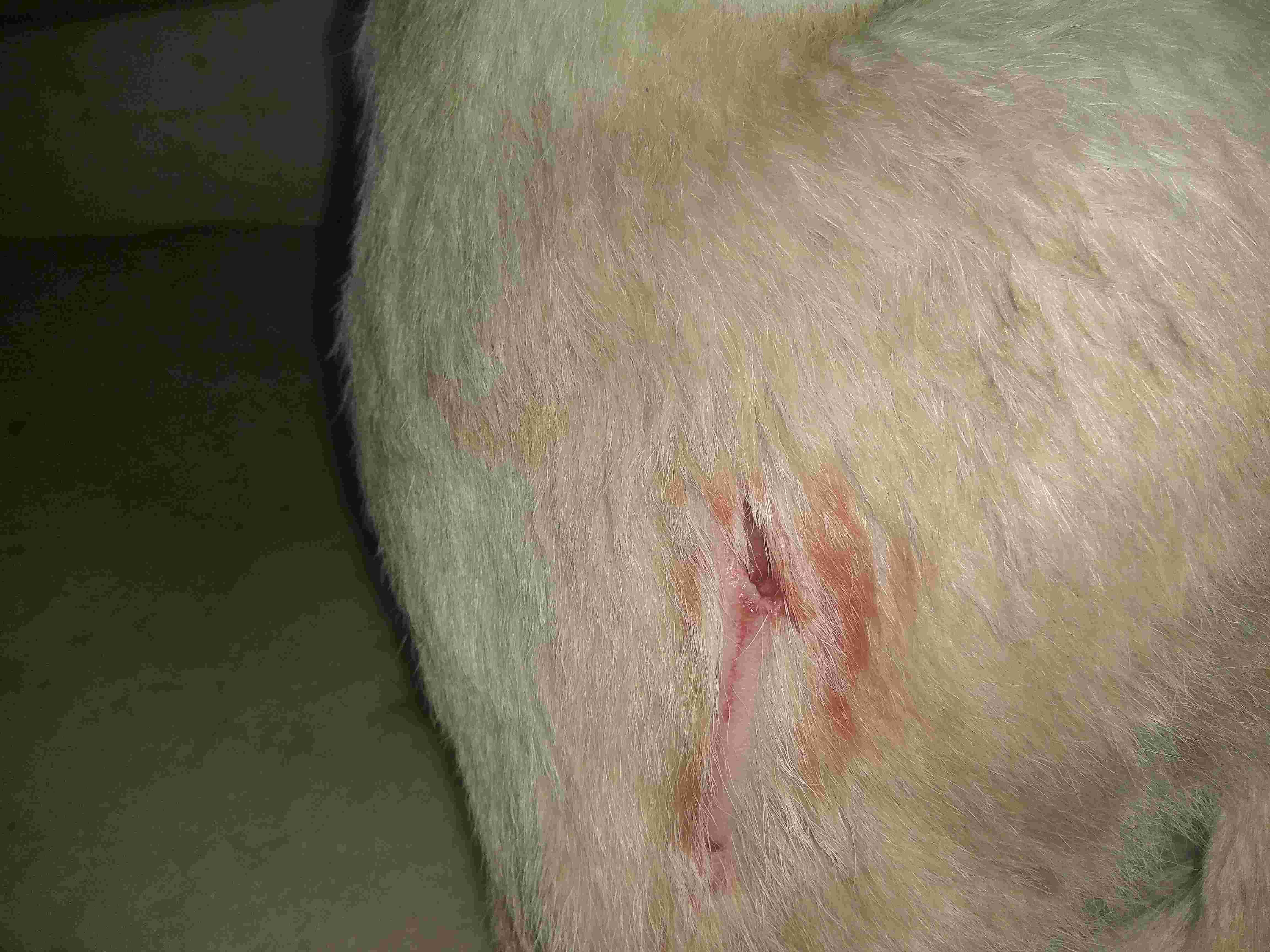 Question details sensitive content