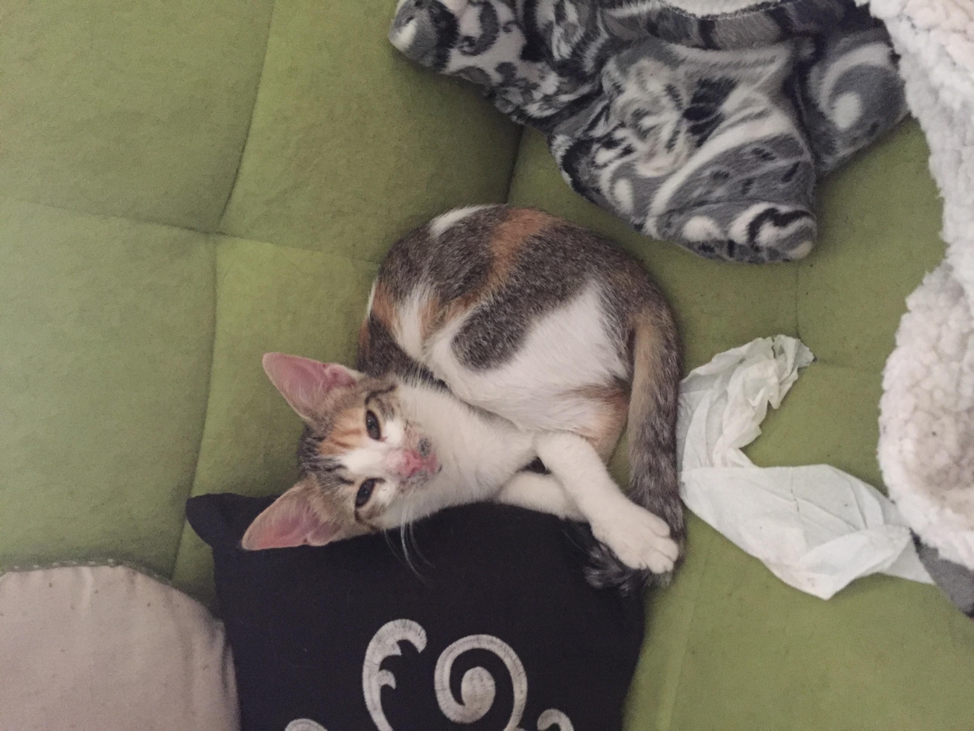 Question details sensitive content