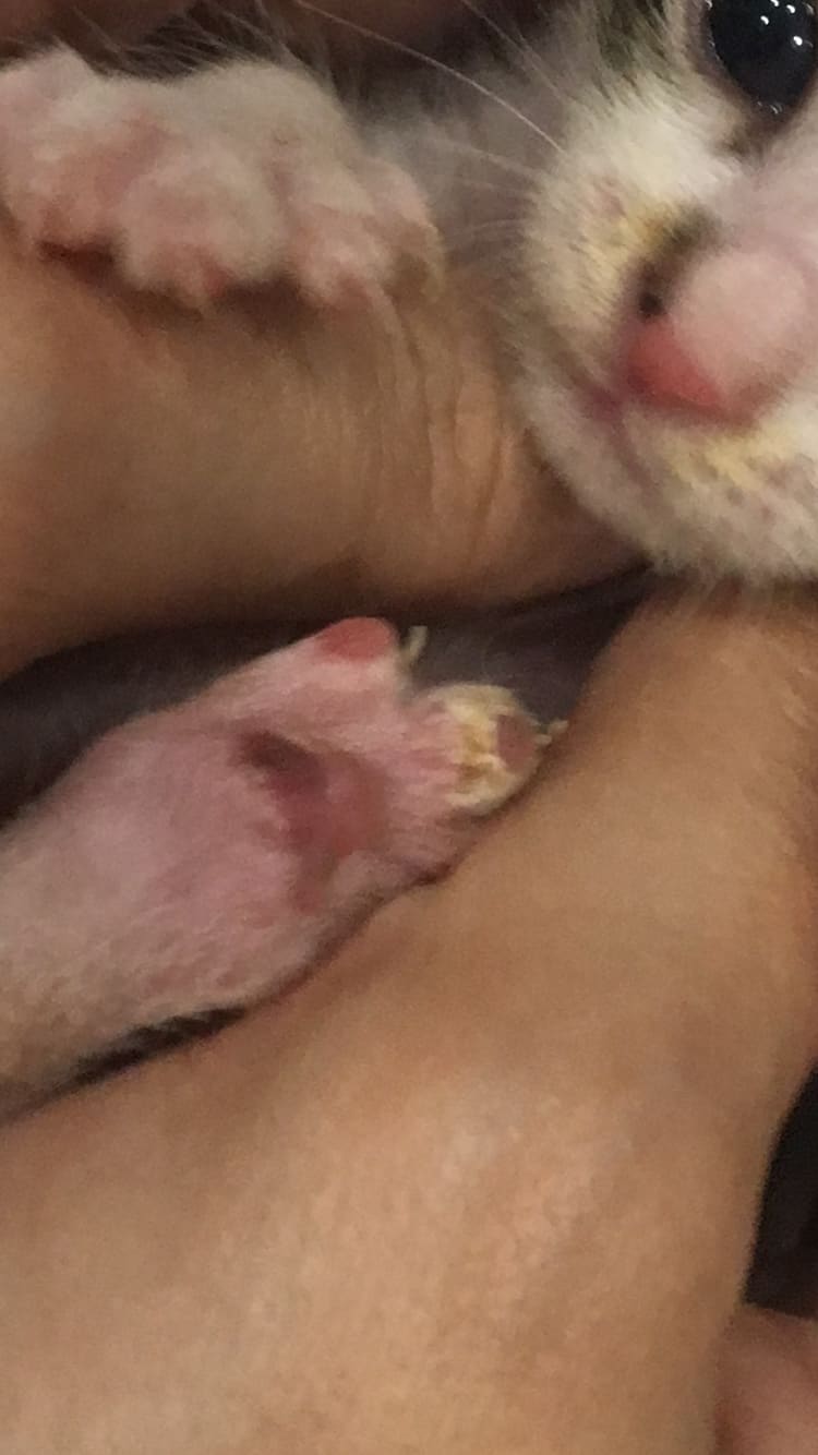 Question details sensitive content