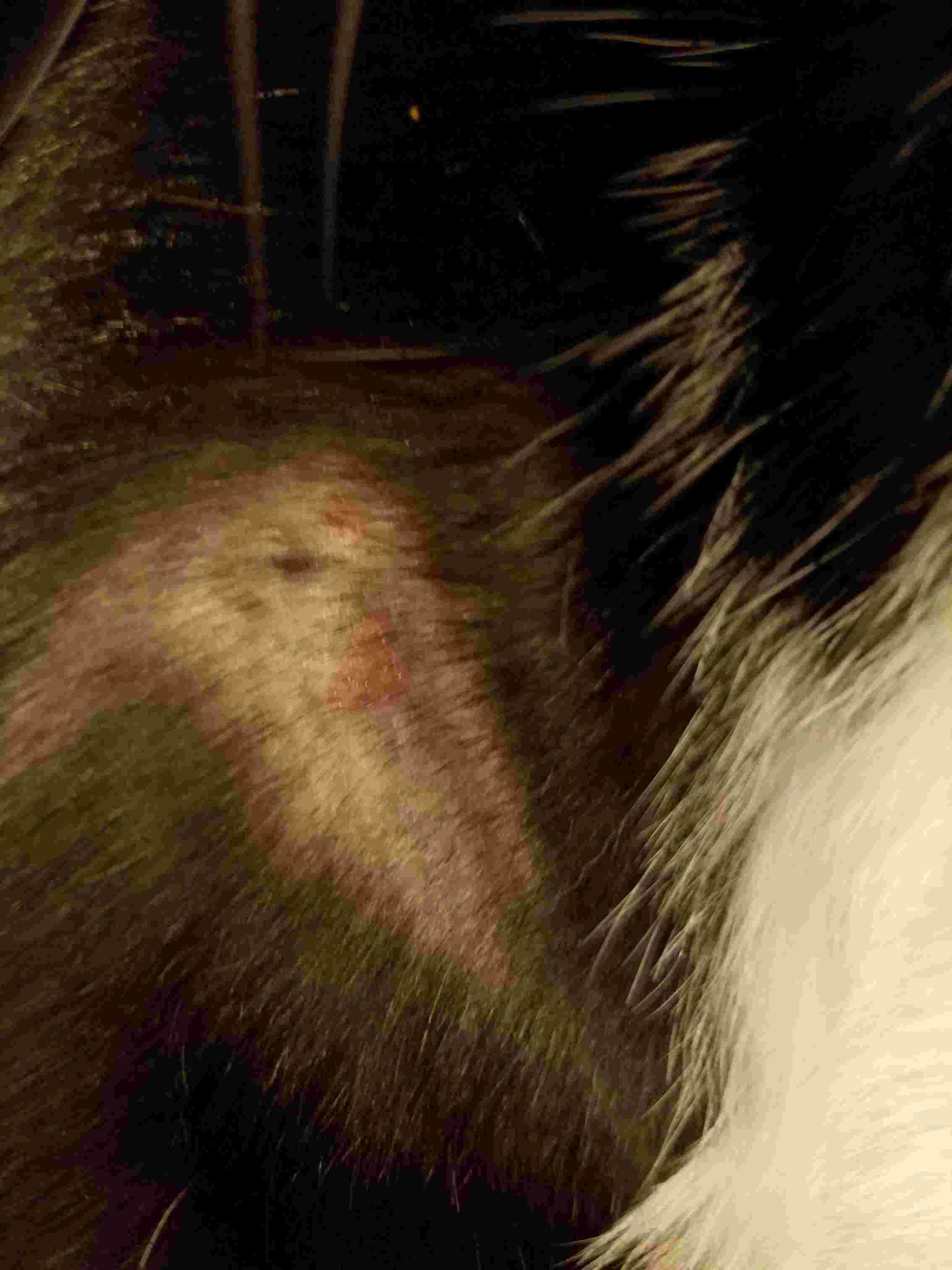 Question details sensitive content