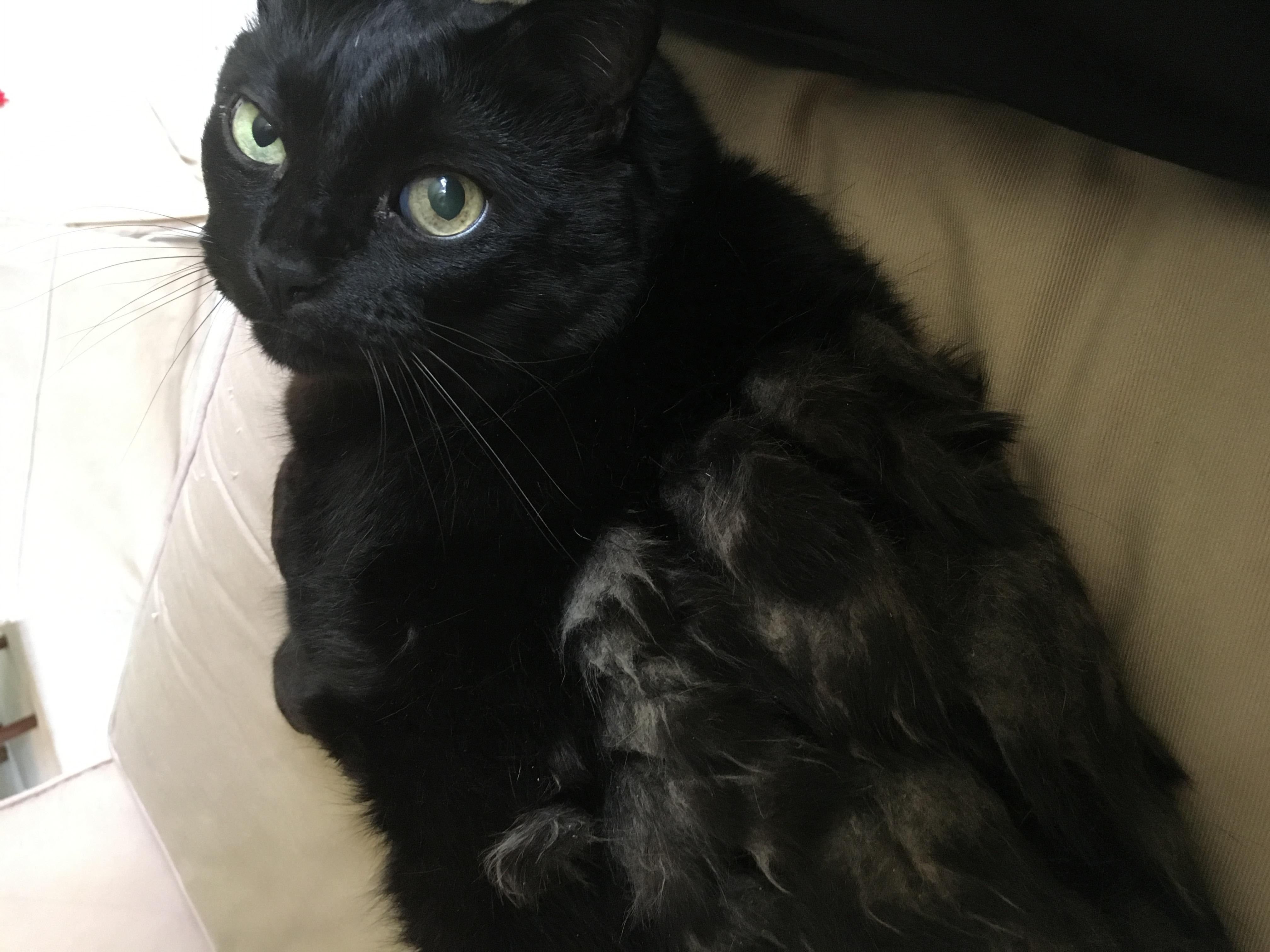 Question details sensitive content