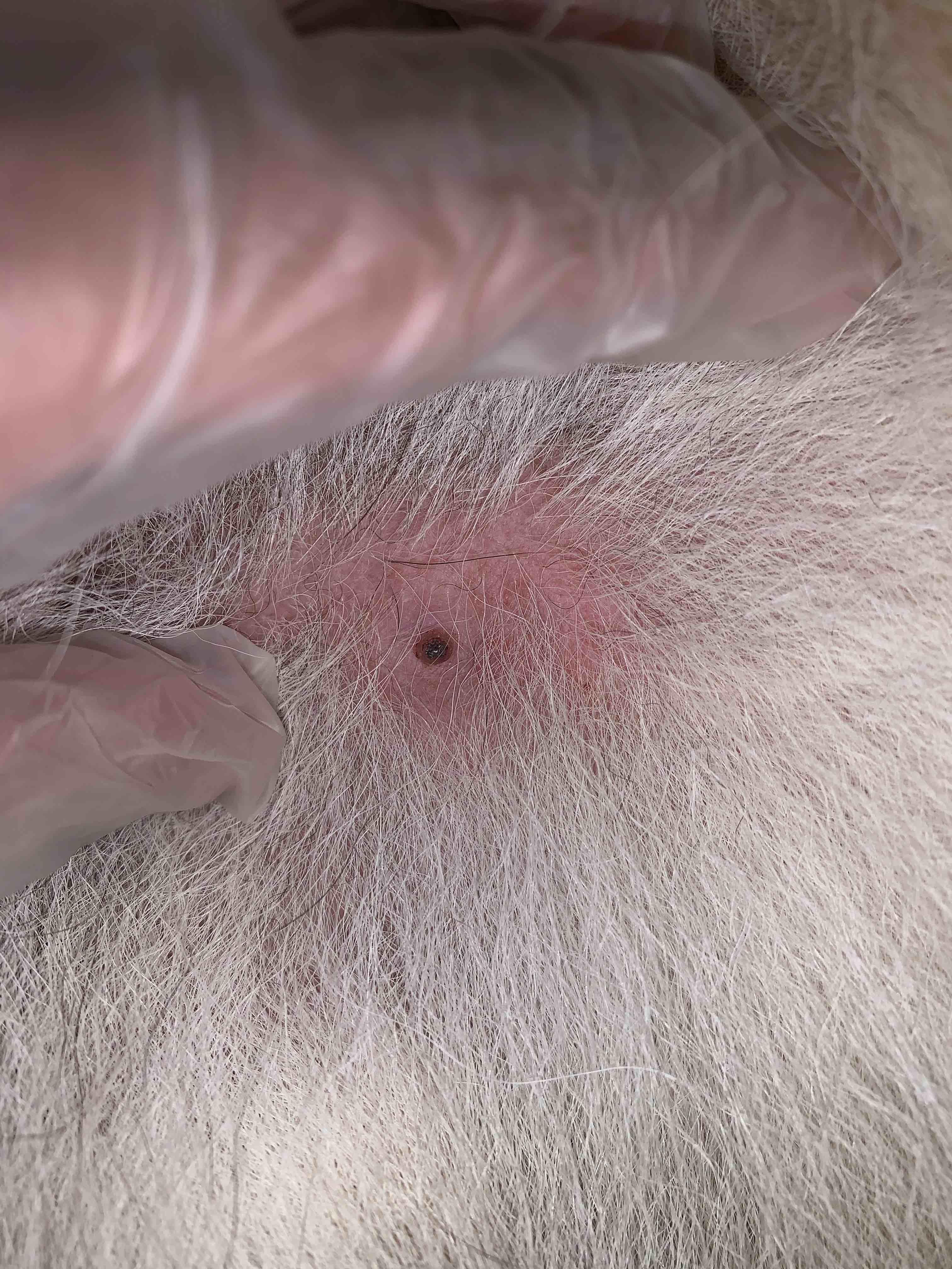 Question details sensitive content