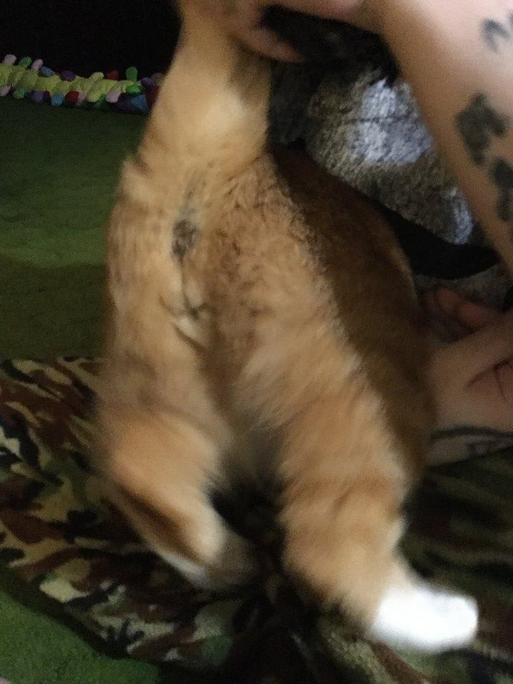 Question details sensitive content