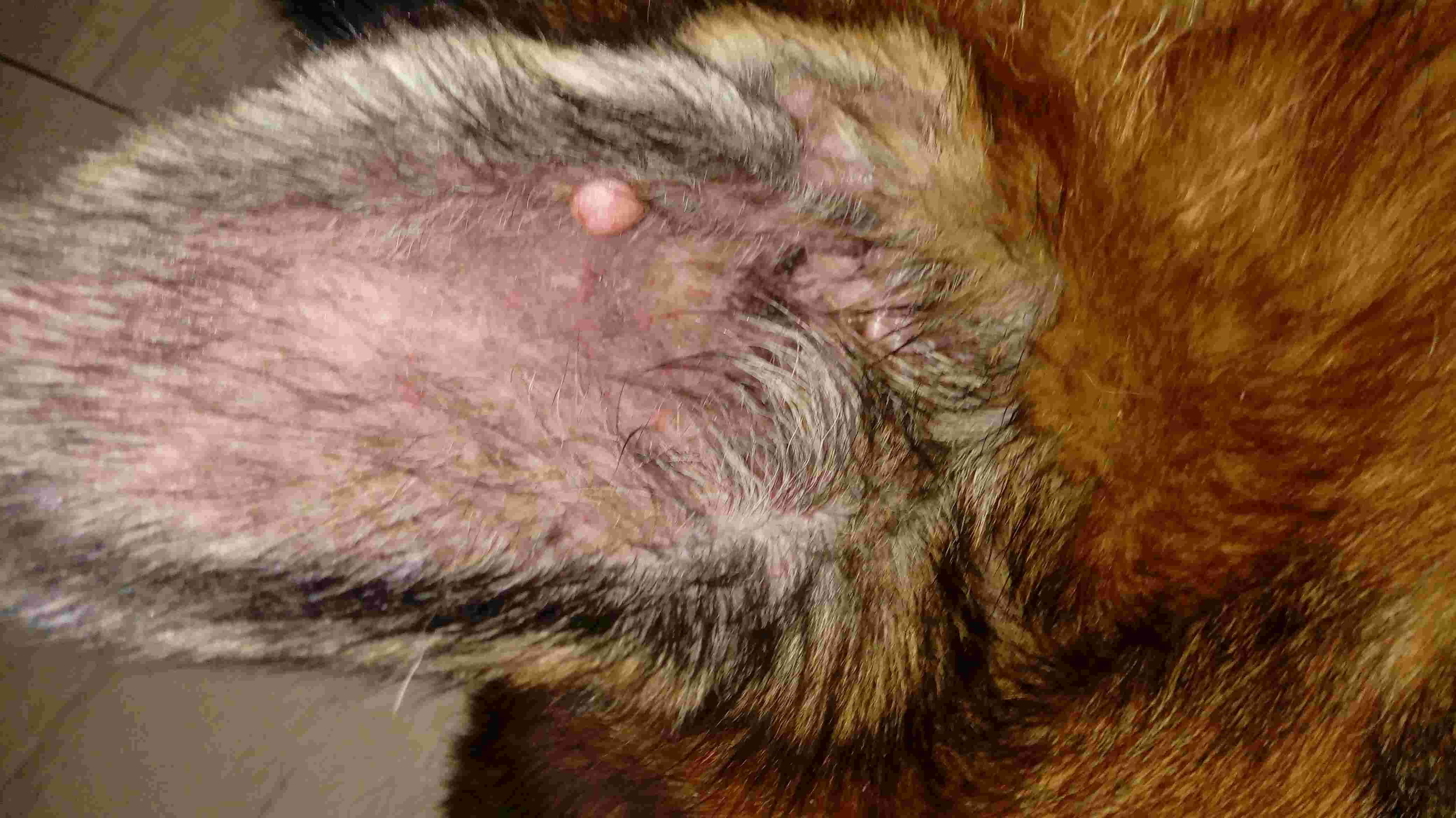 Question details sensitive content