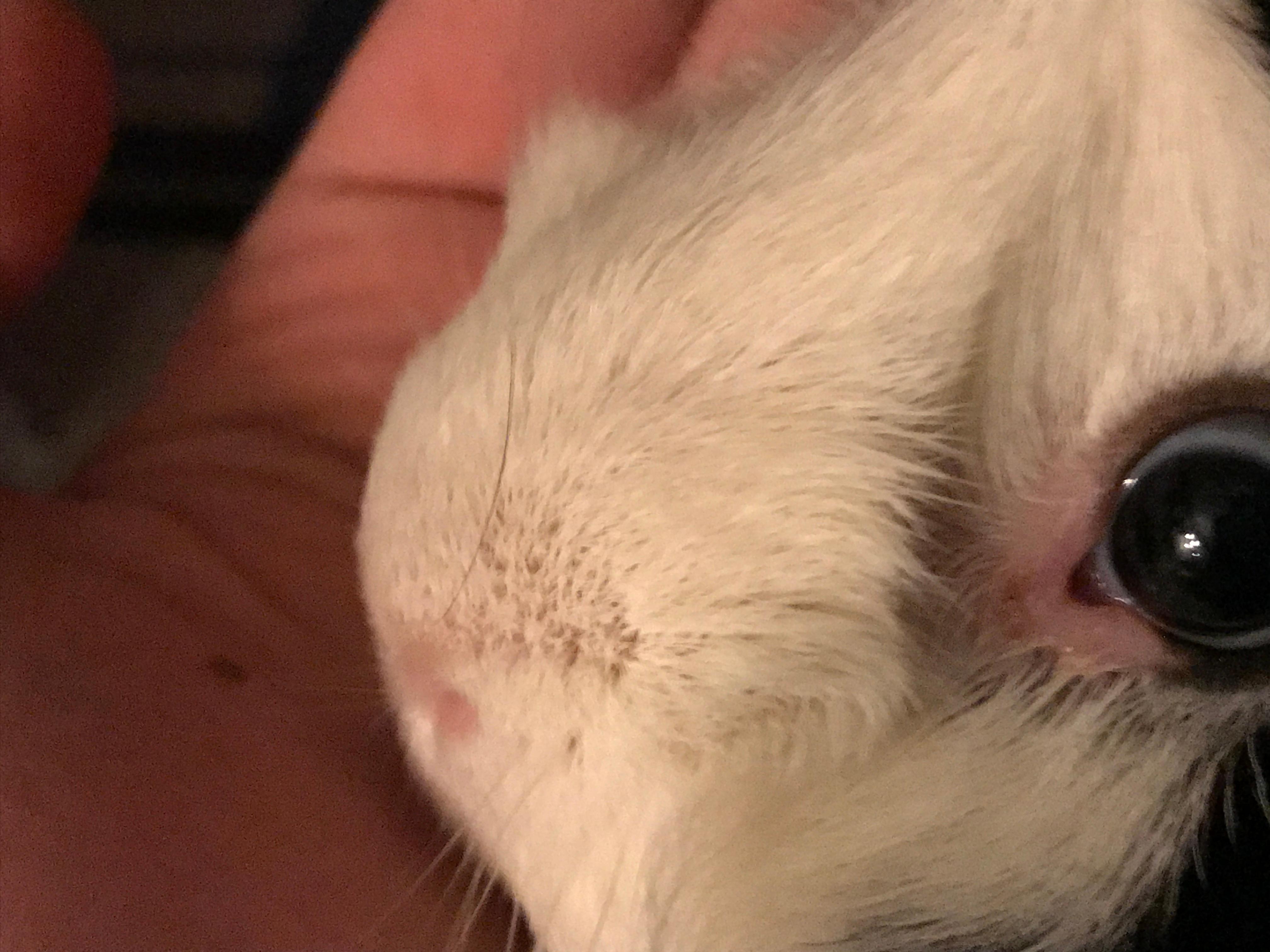 Question details sensitive content