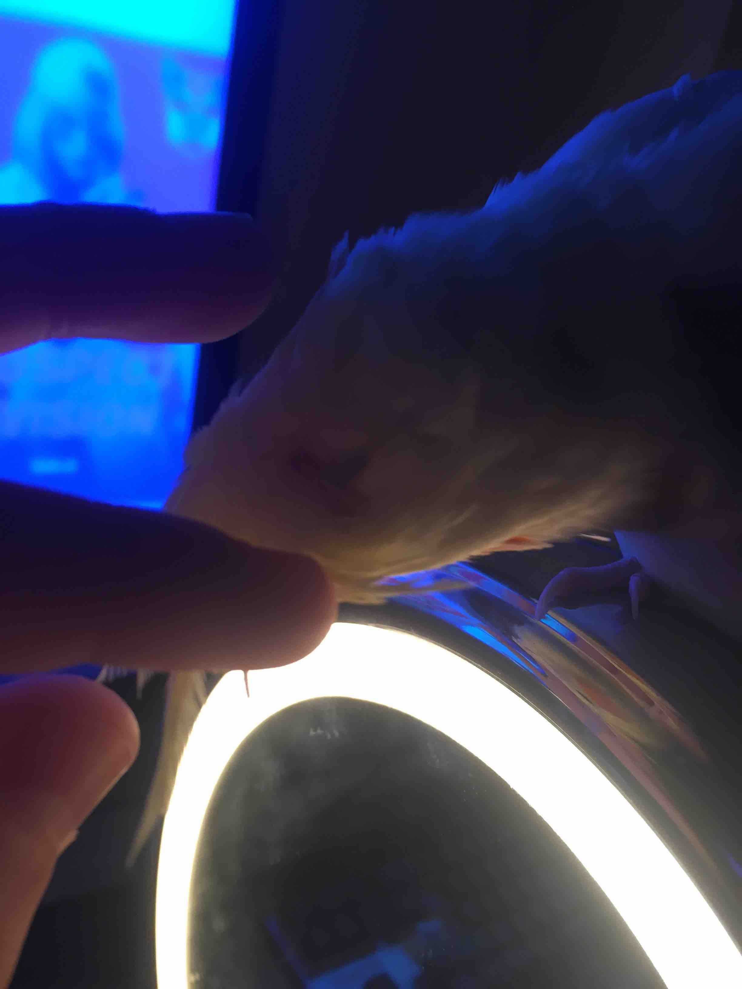 Question details sensitive content