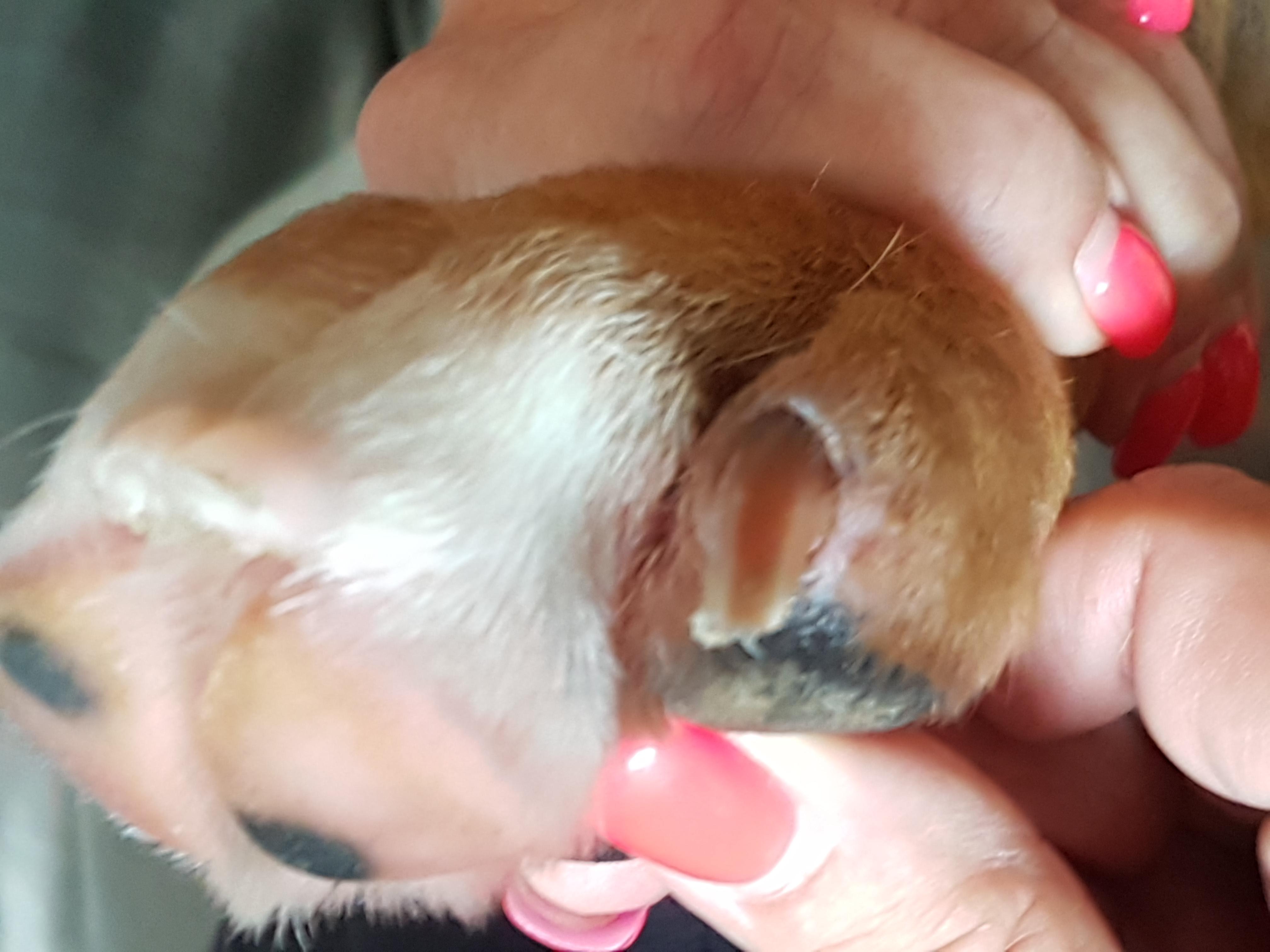 Question details sensitive content