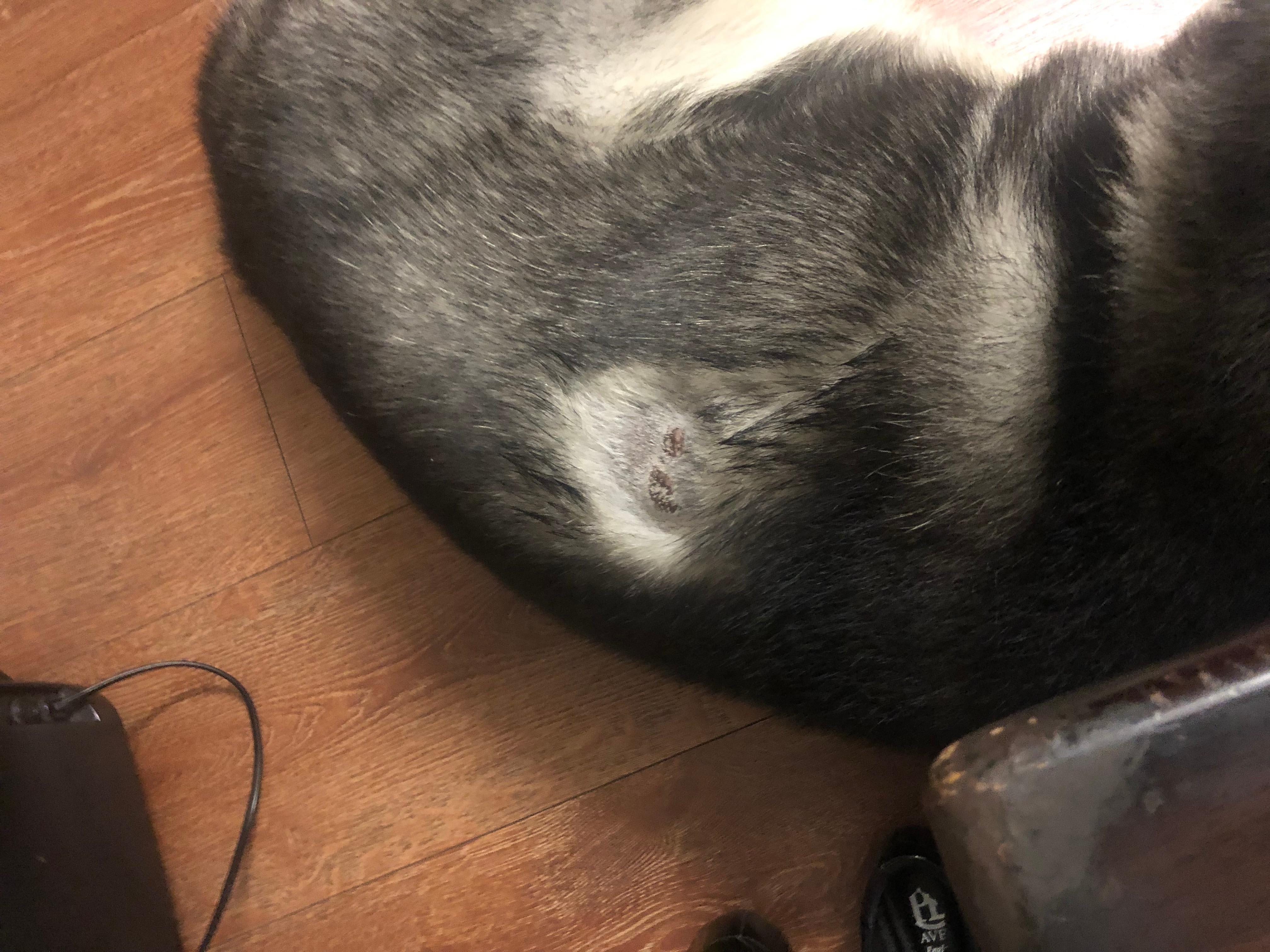 Question details sensitive content