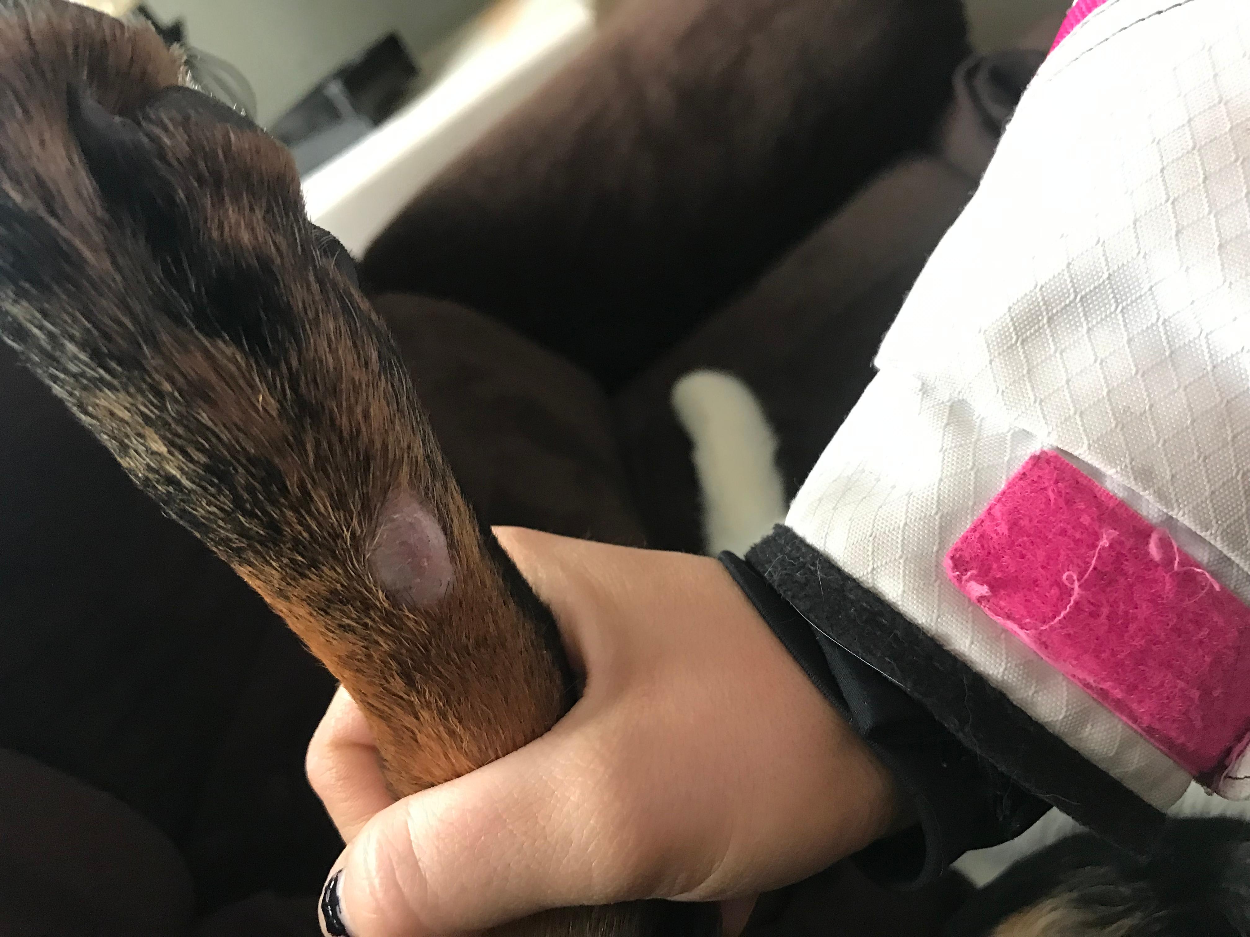 Question details sensitive content