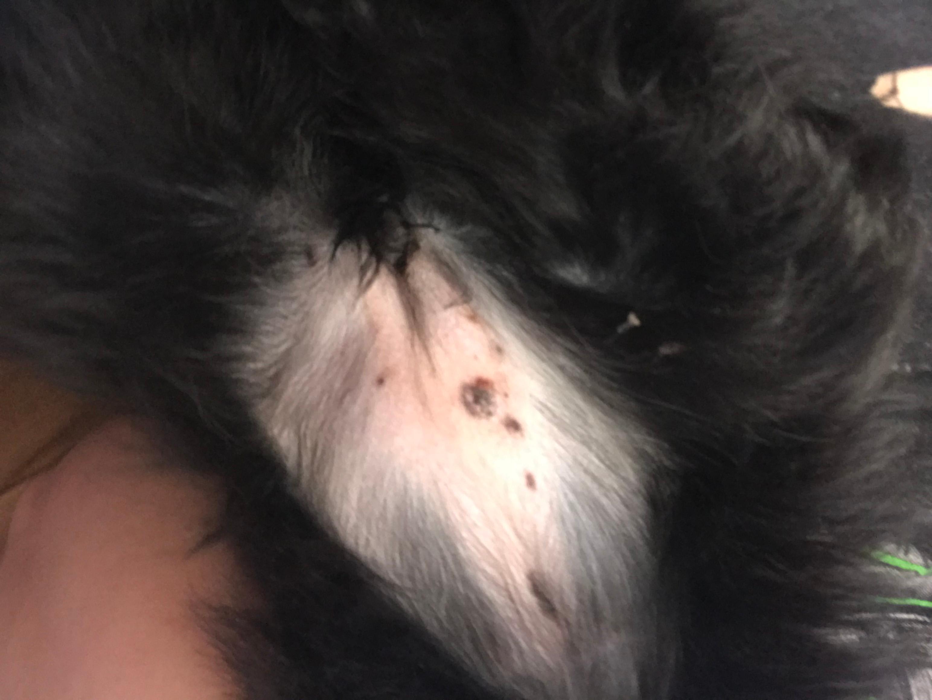 Question details sensitive content