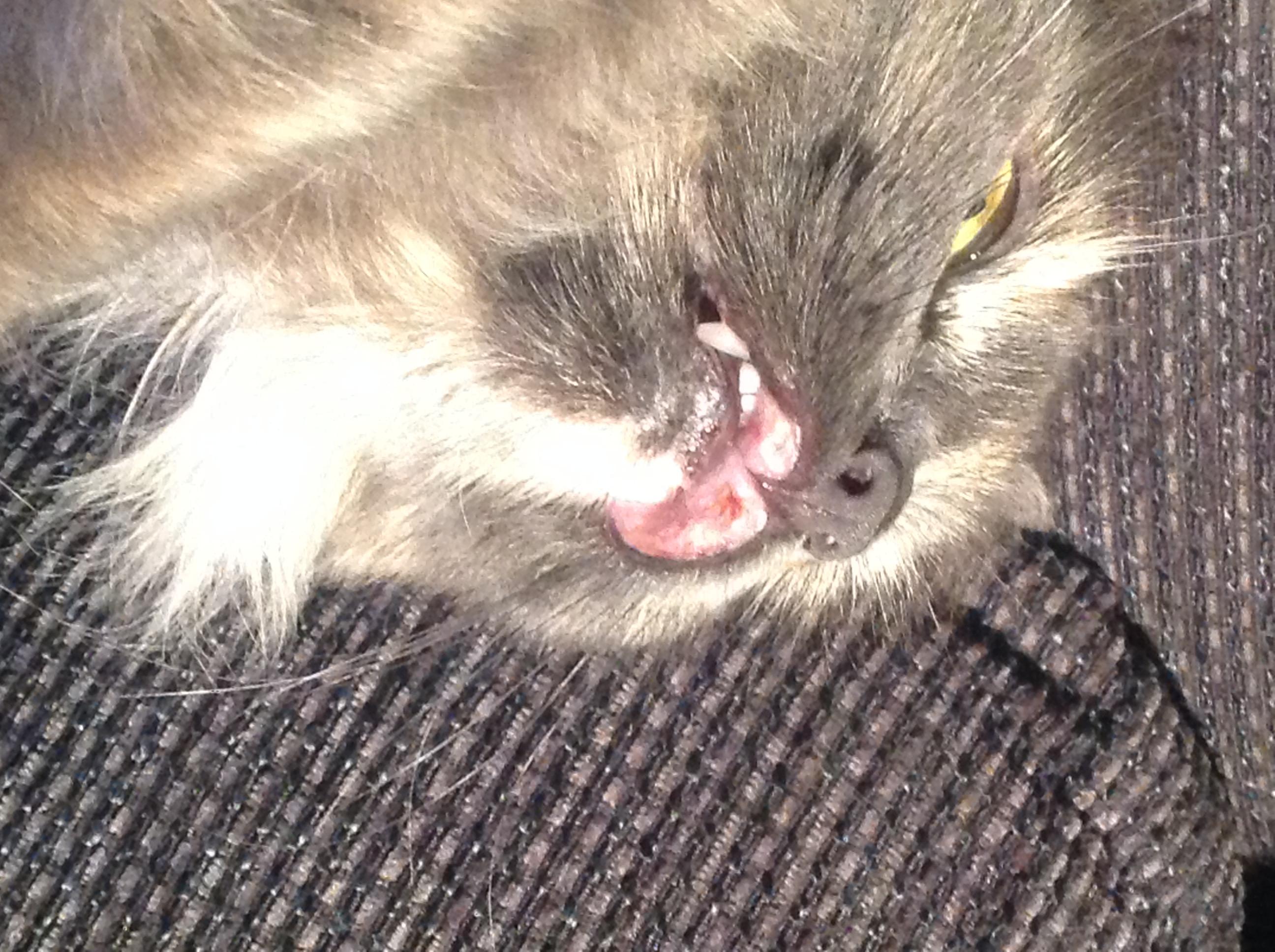 Question details sensitive content