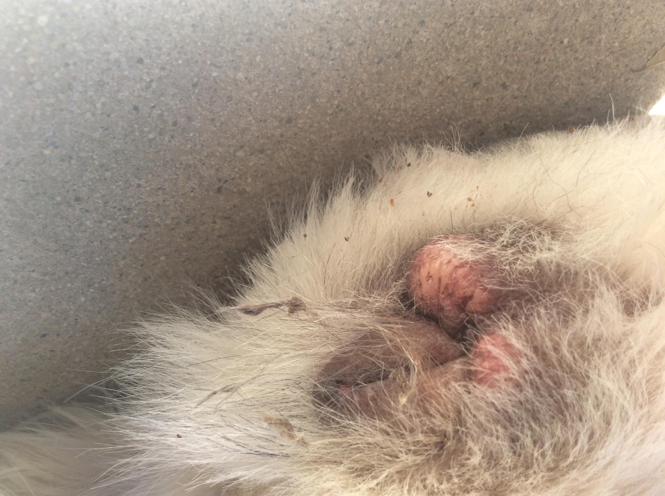 Question details sensitive content