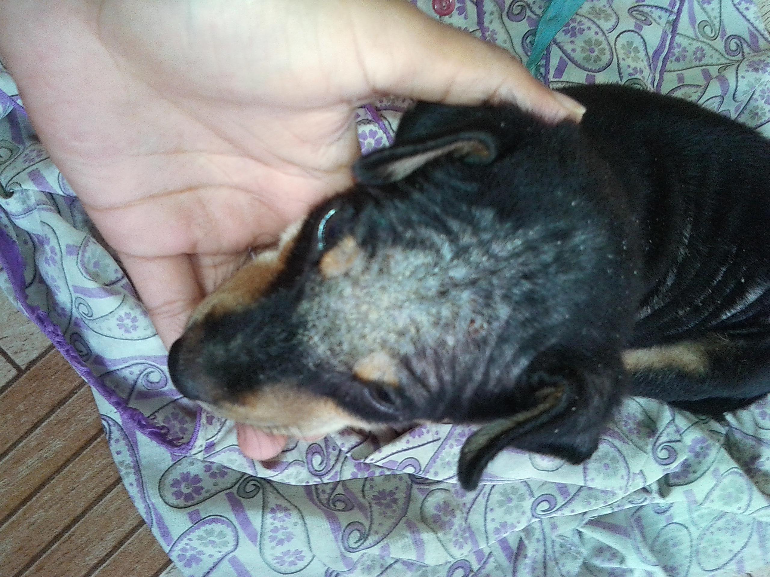 Question details sensitive content