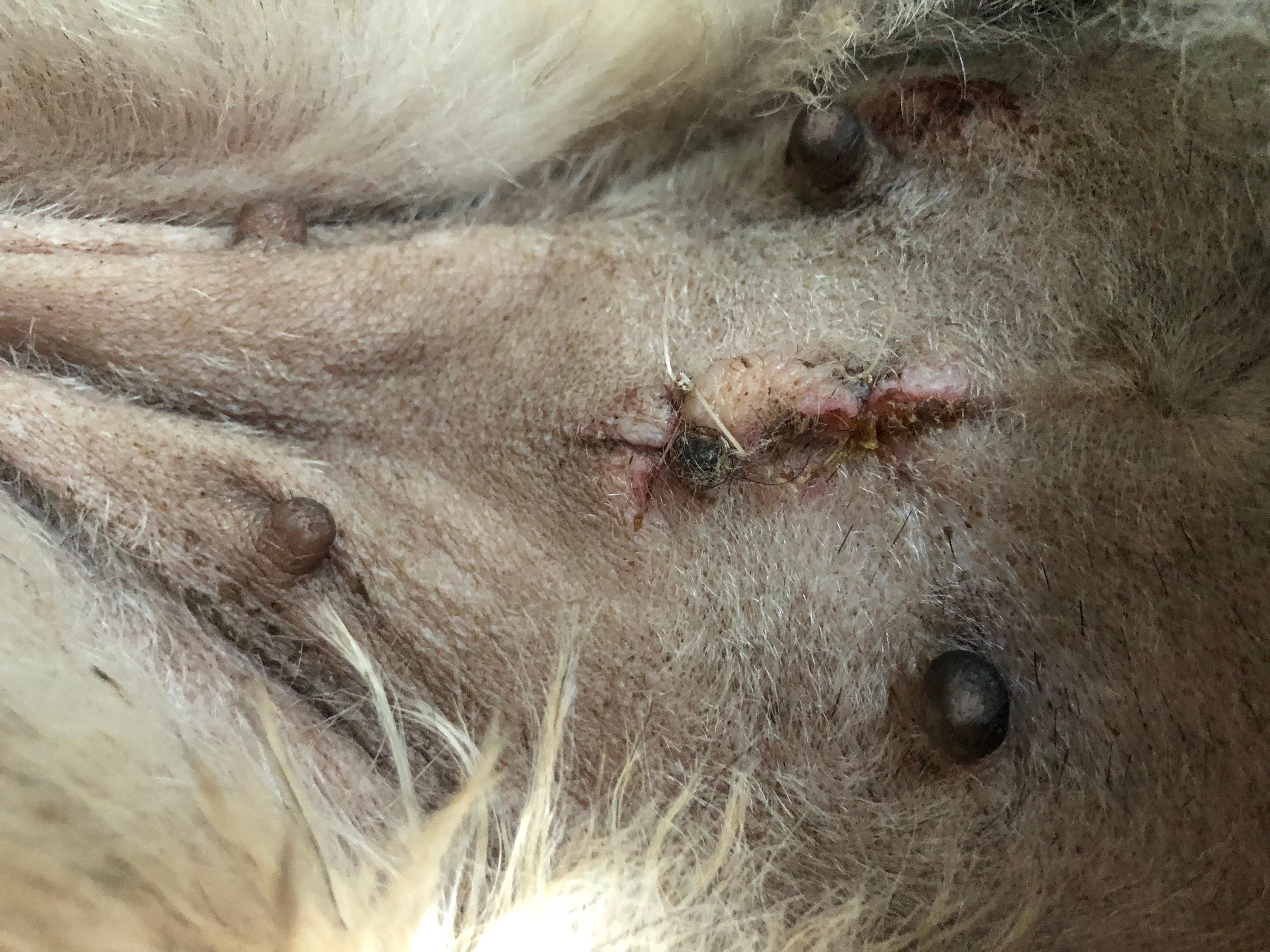 Question details sensitive content