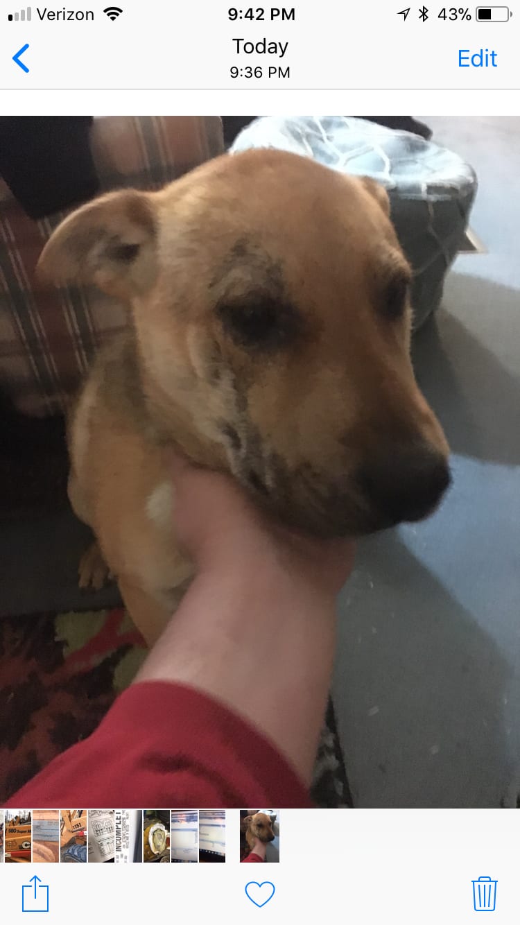 Question details sensitive content