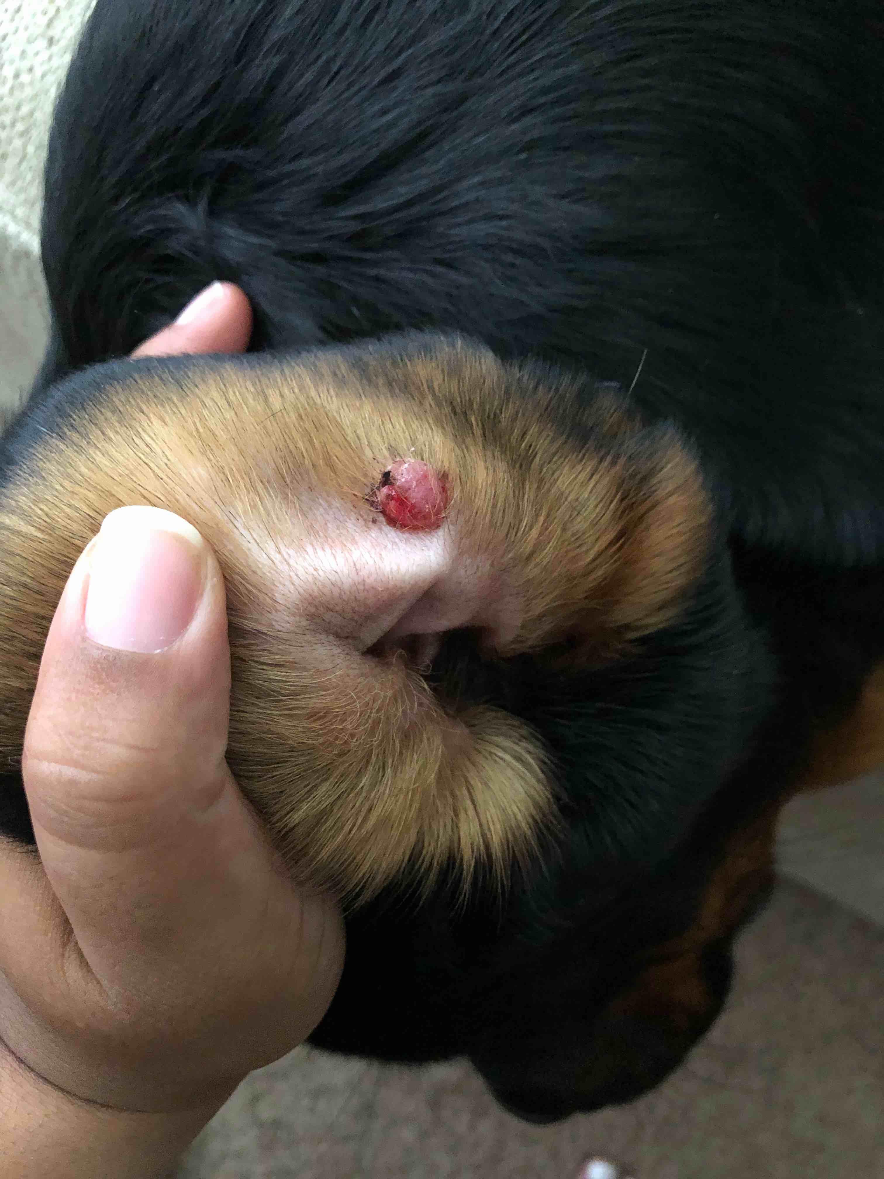 Question details sensitive content