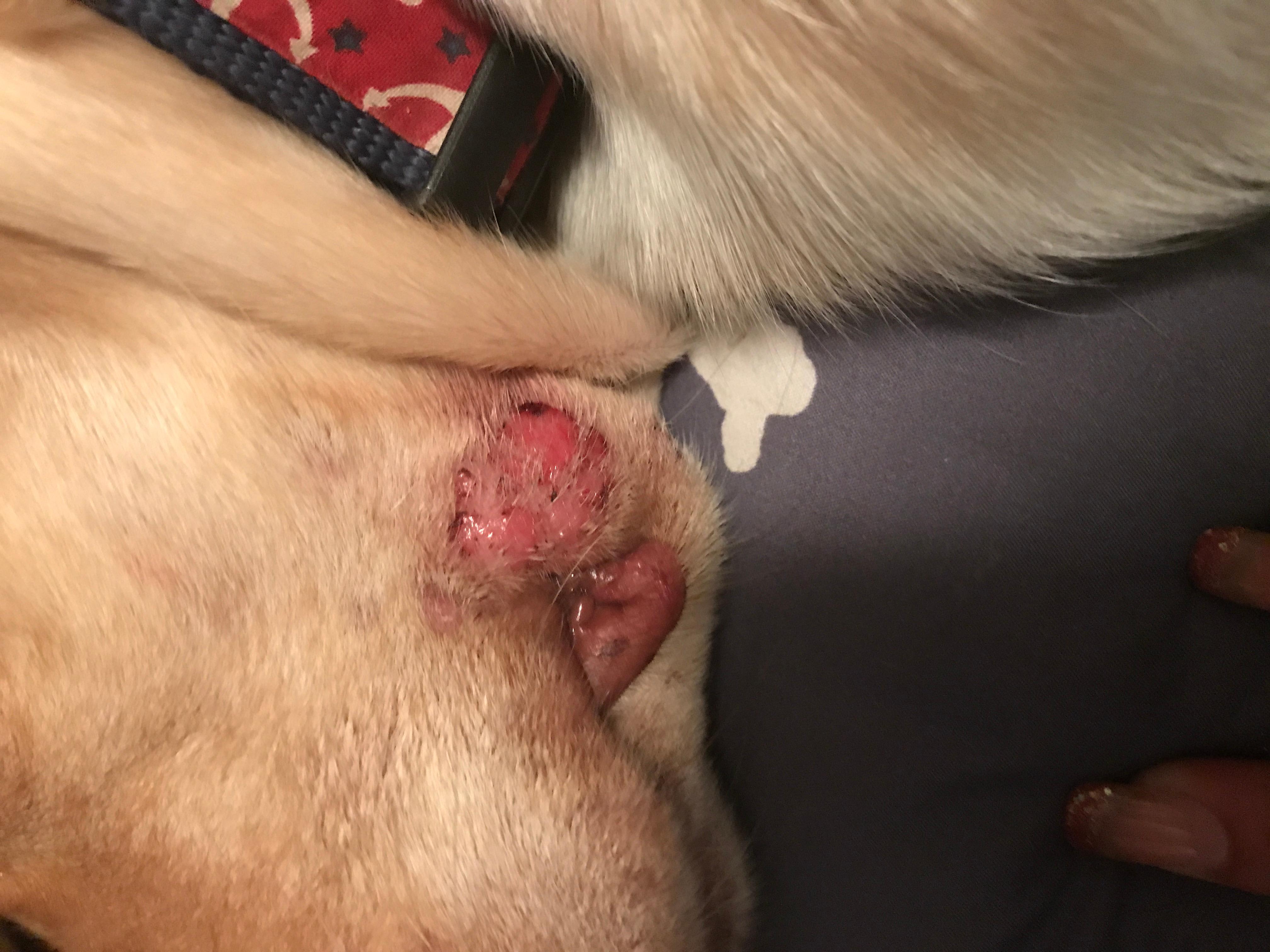 Question details sensitive content