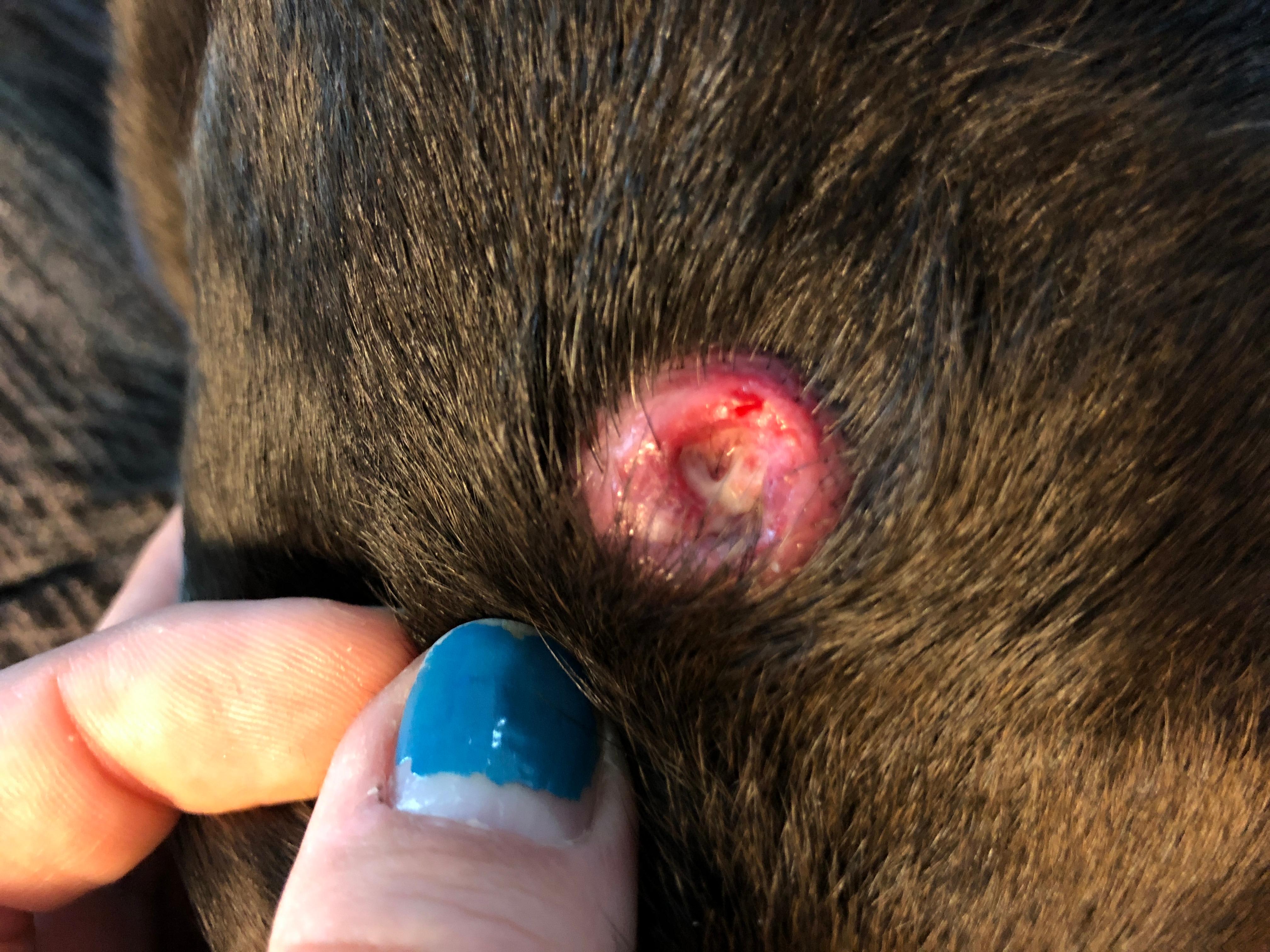 Question details sensitive content