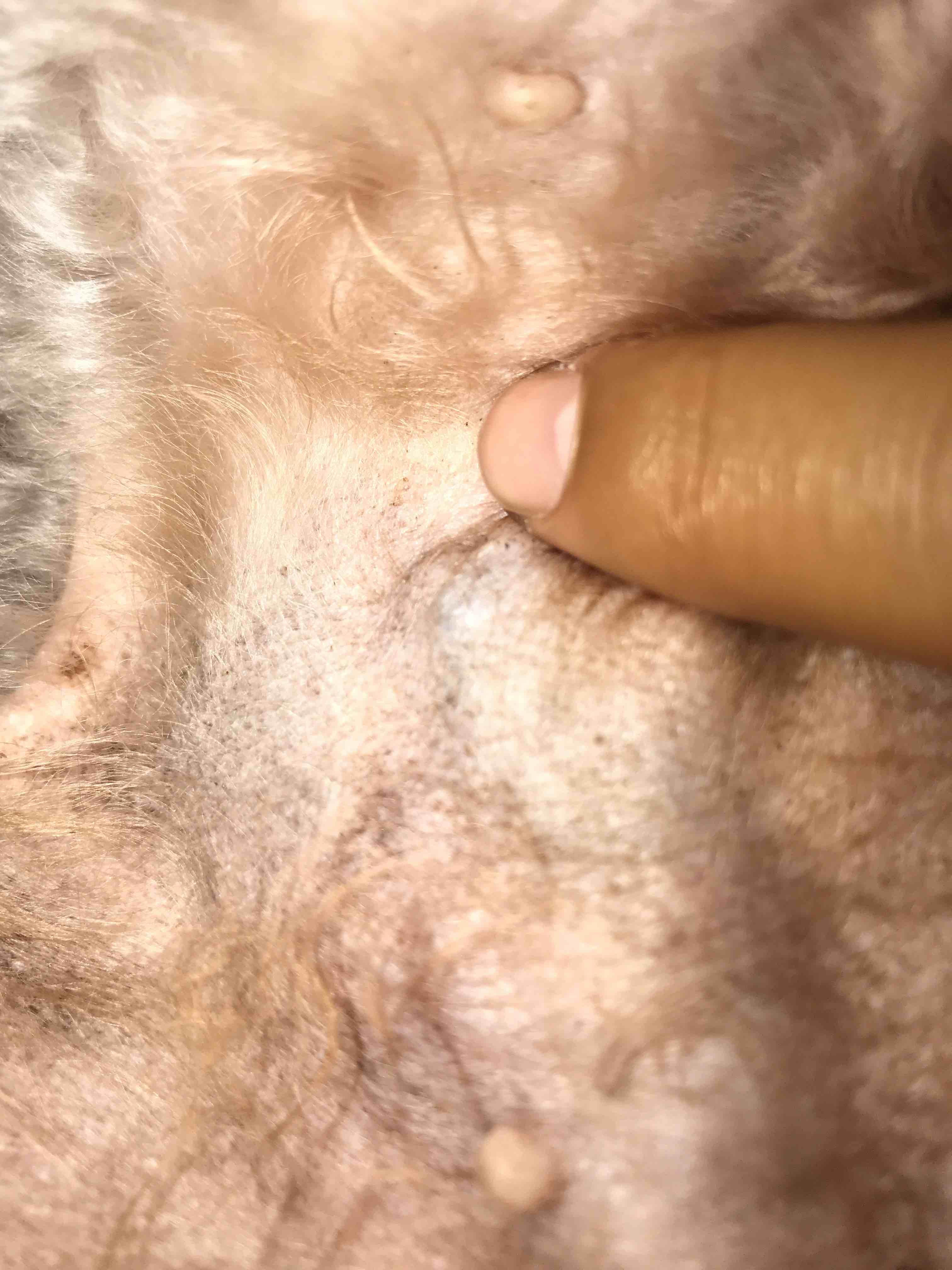 Question details sensitive content