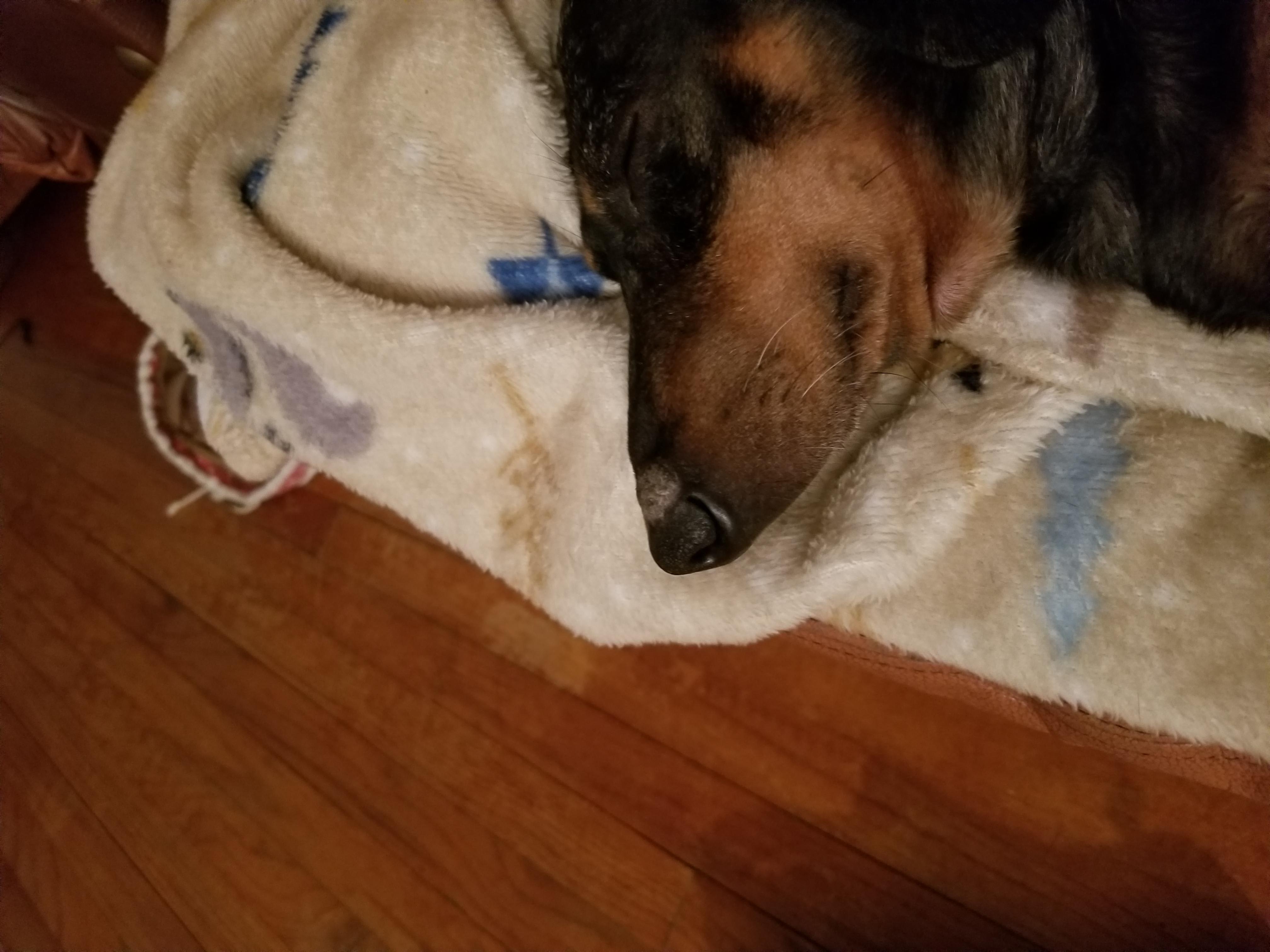 Question details sensitive content