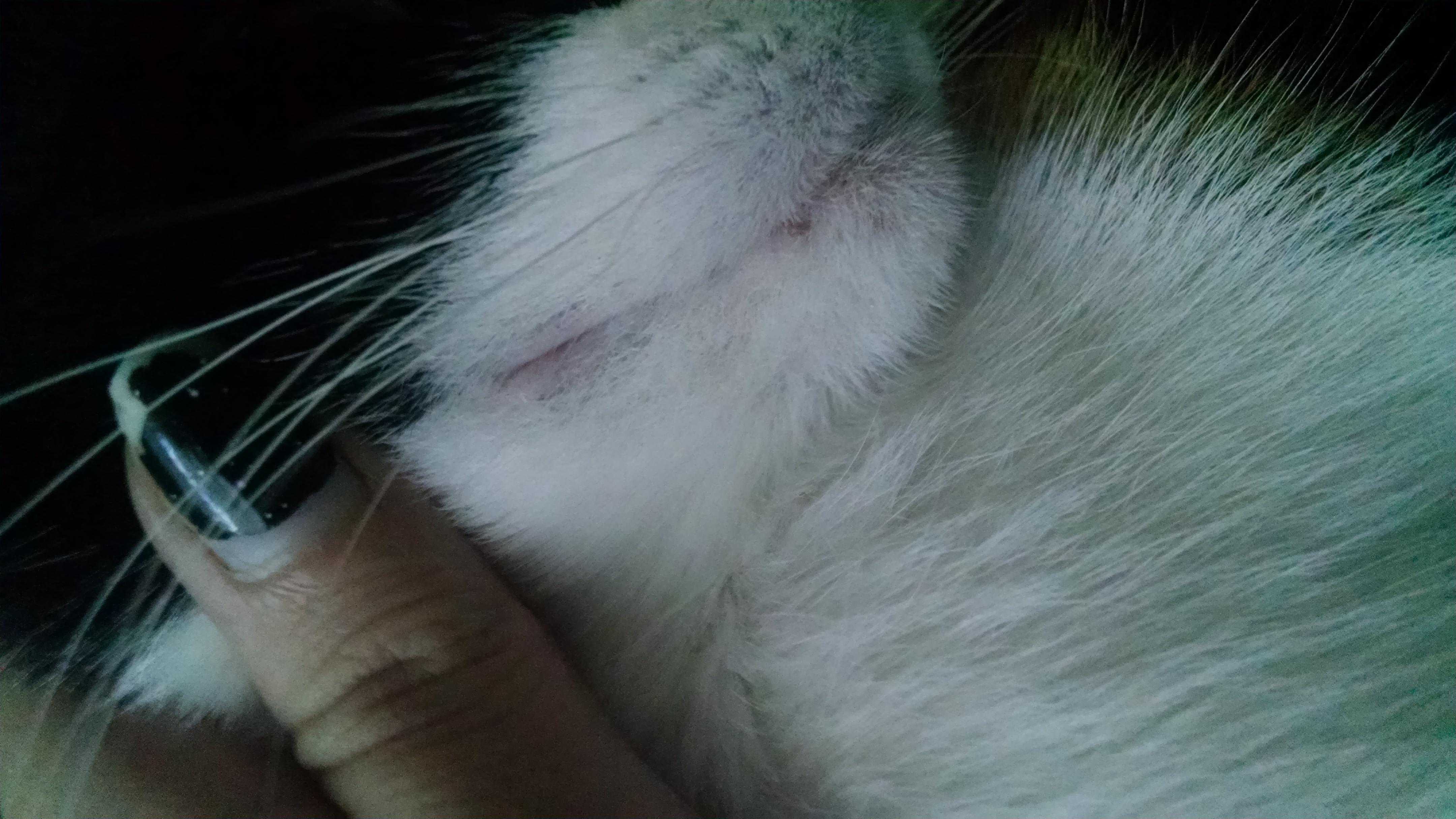 Question details sensitive content