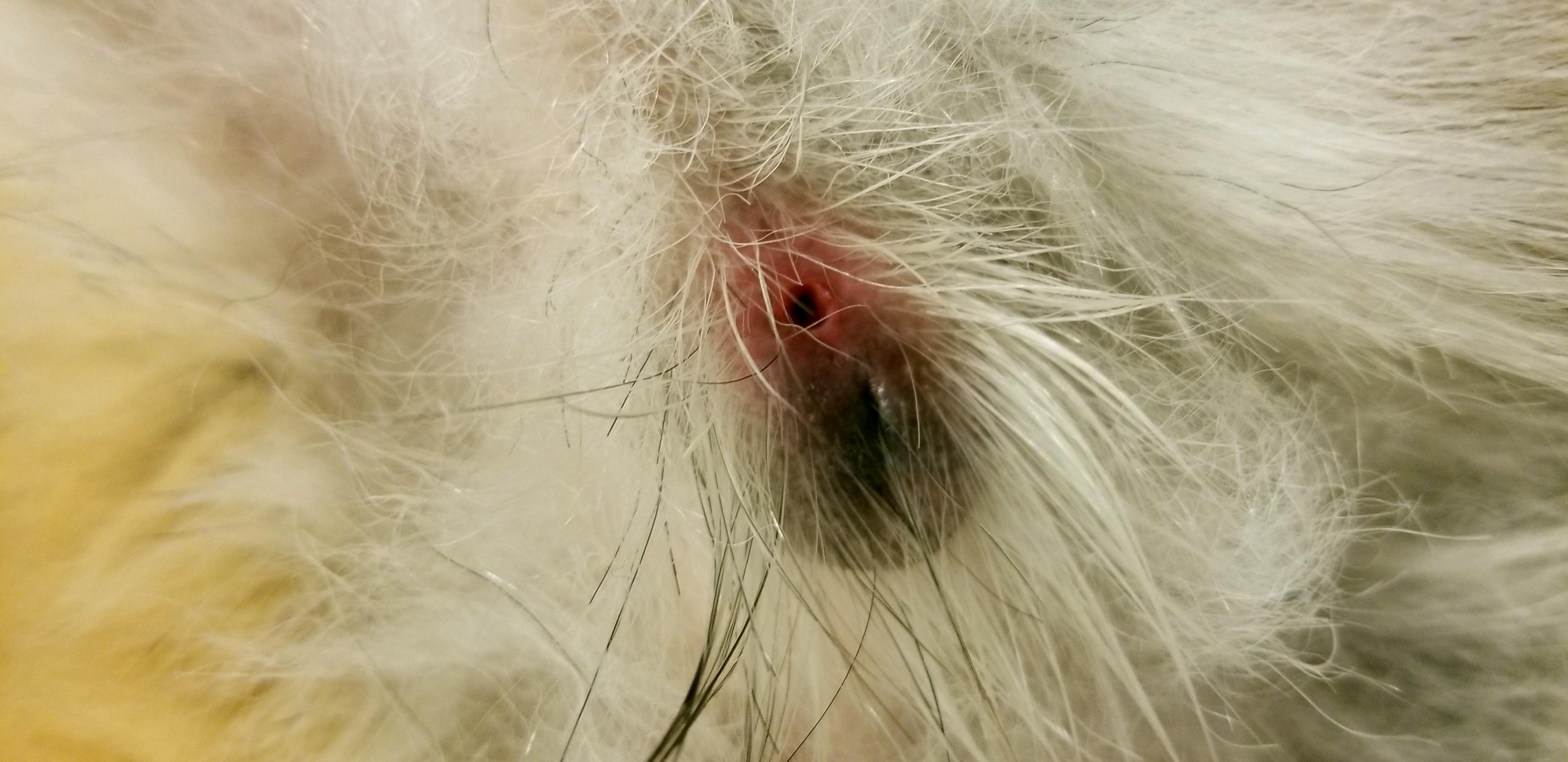 Question details sensitive content