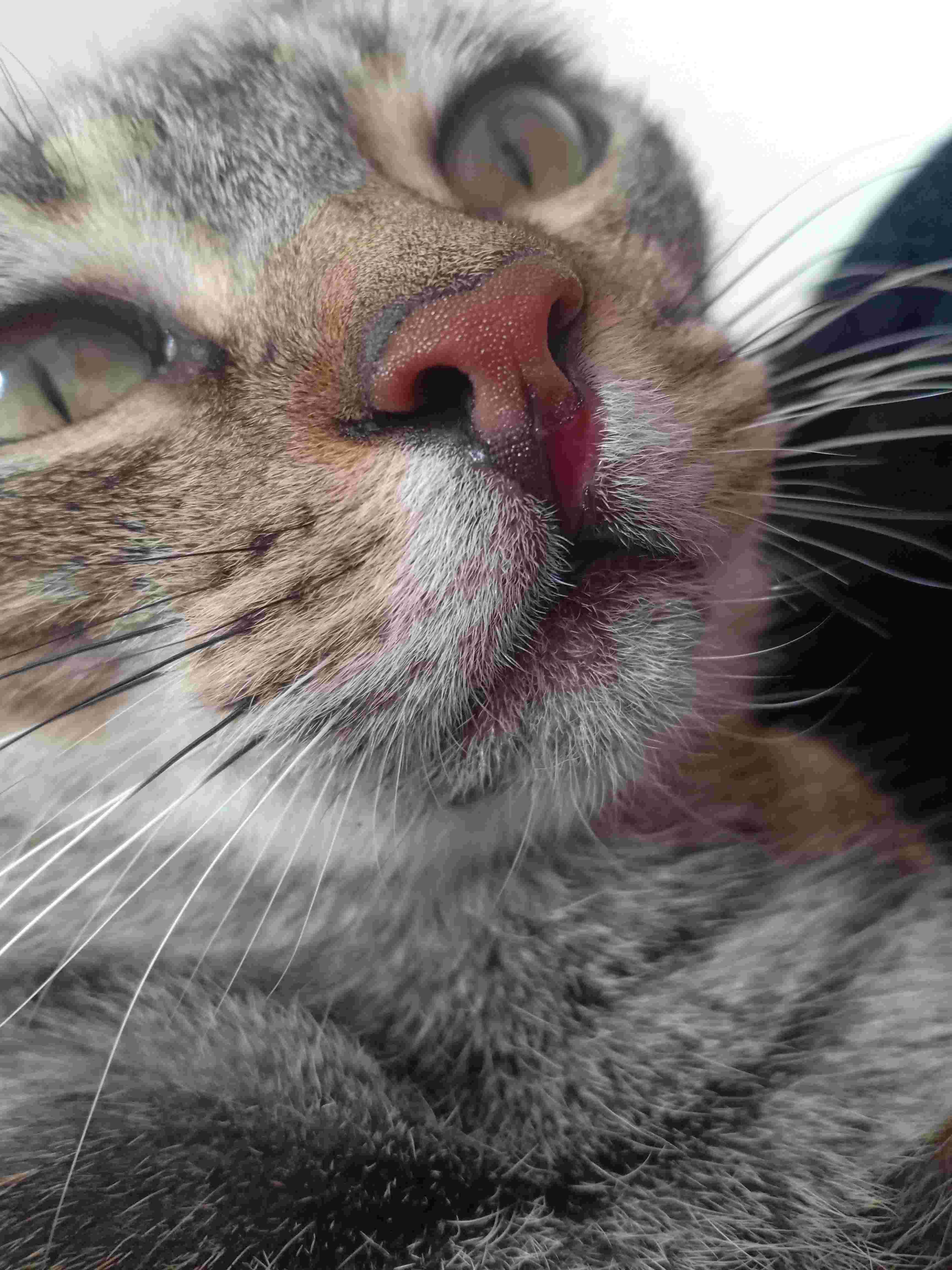 Question details sensitive content