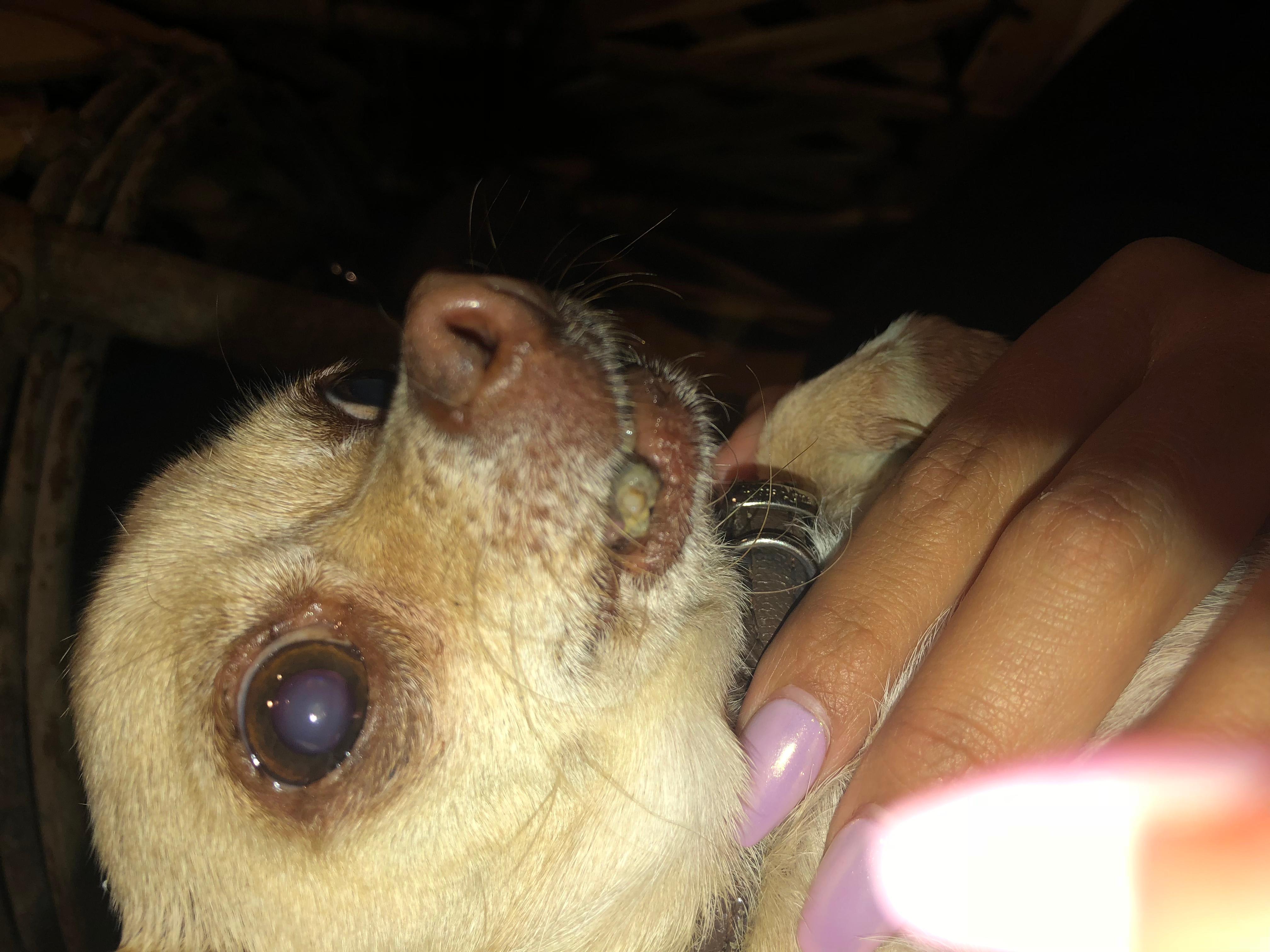 Question details sensitive content