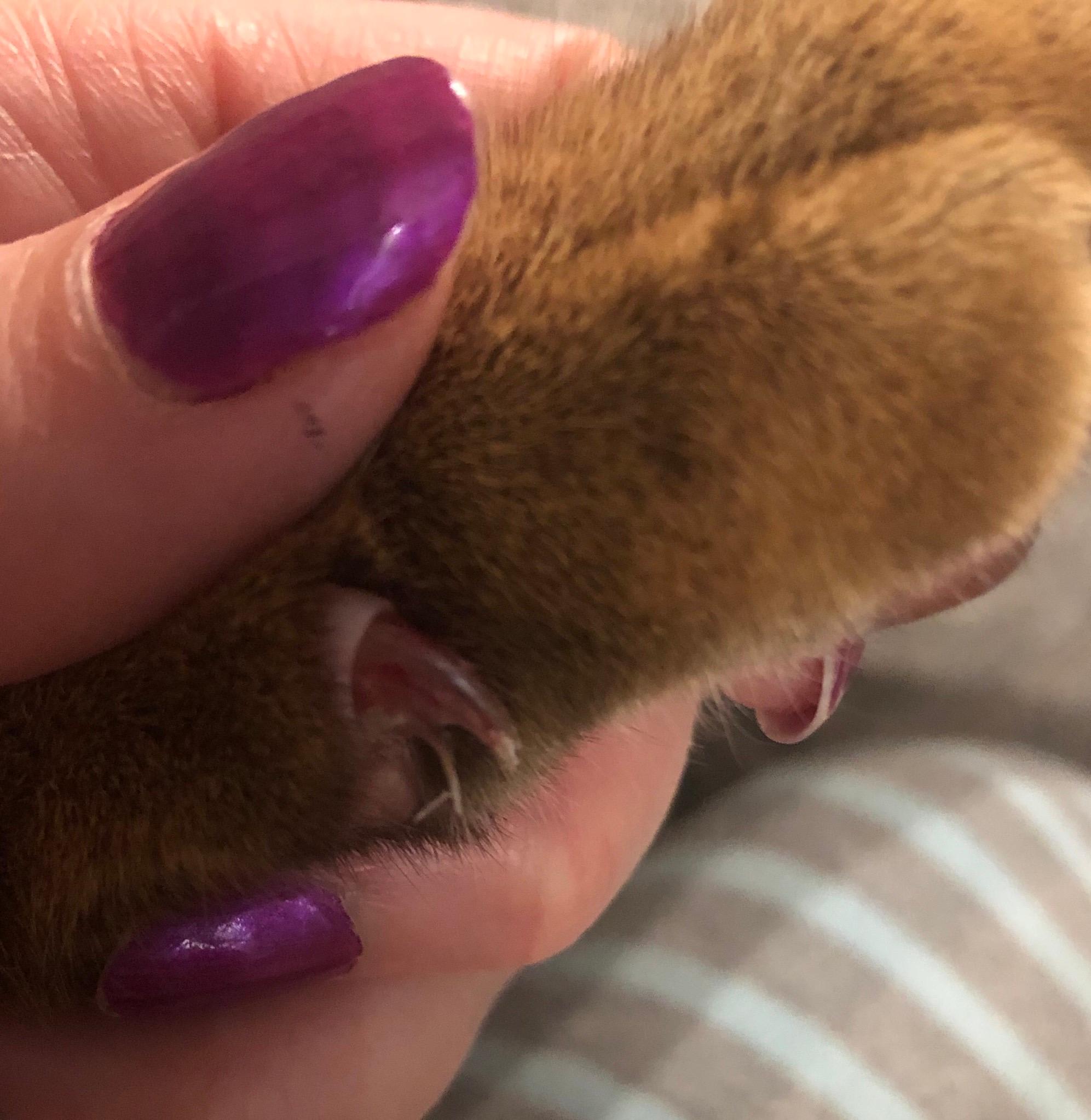 Question details sensitive content