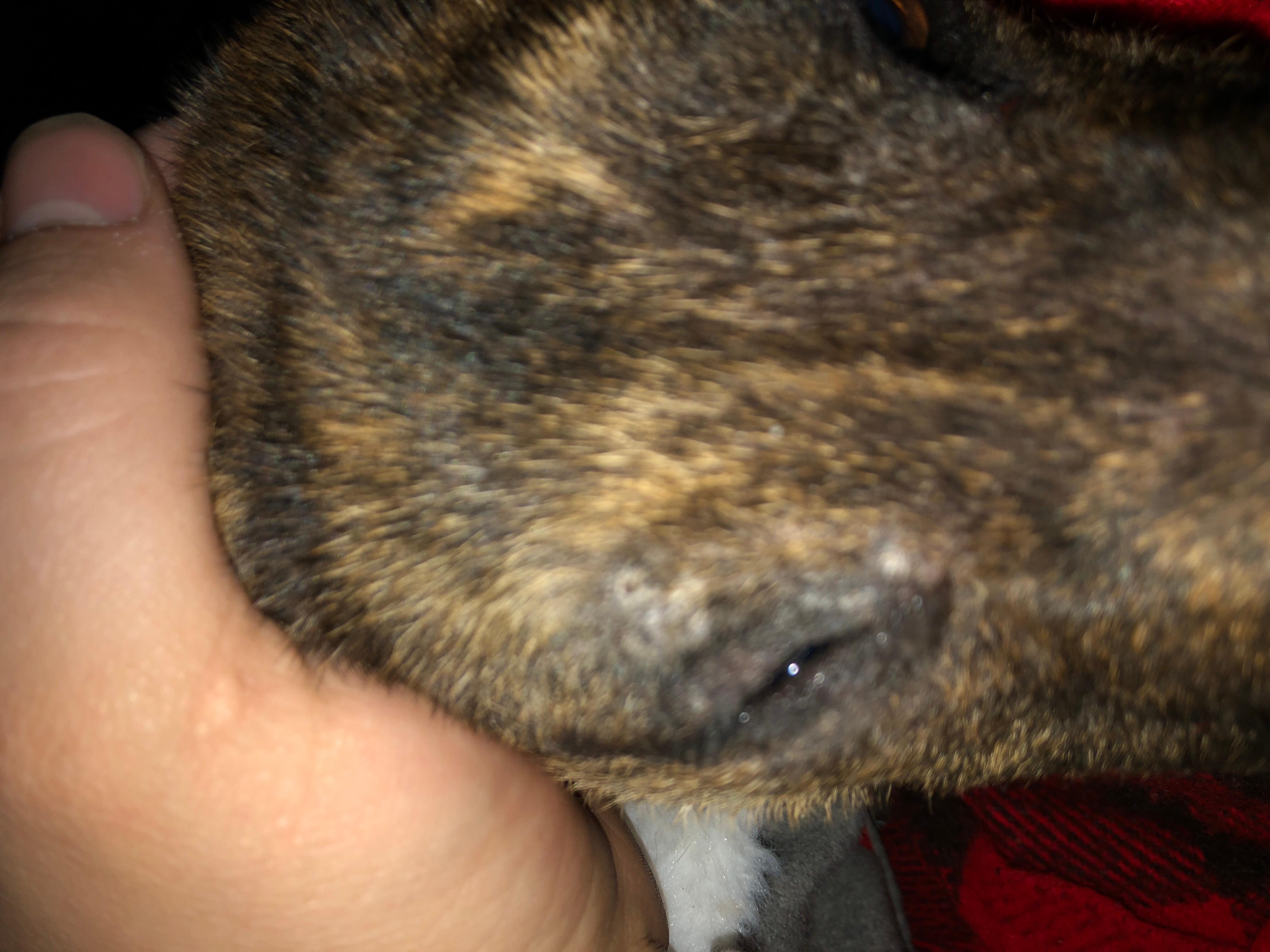 Question details sensitive content