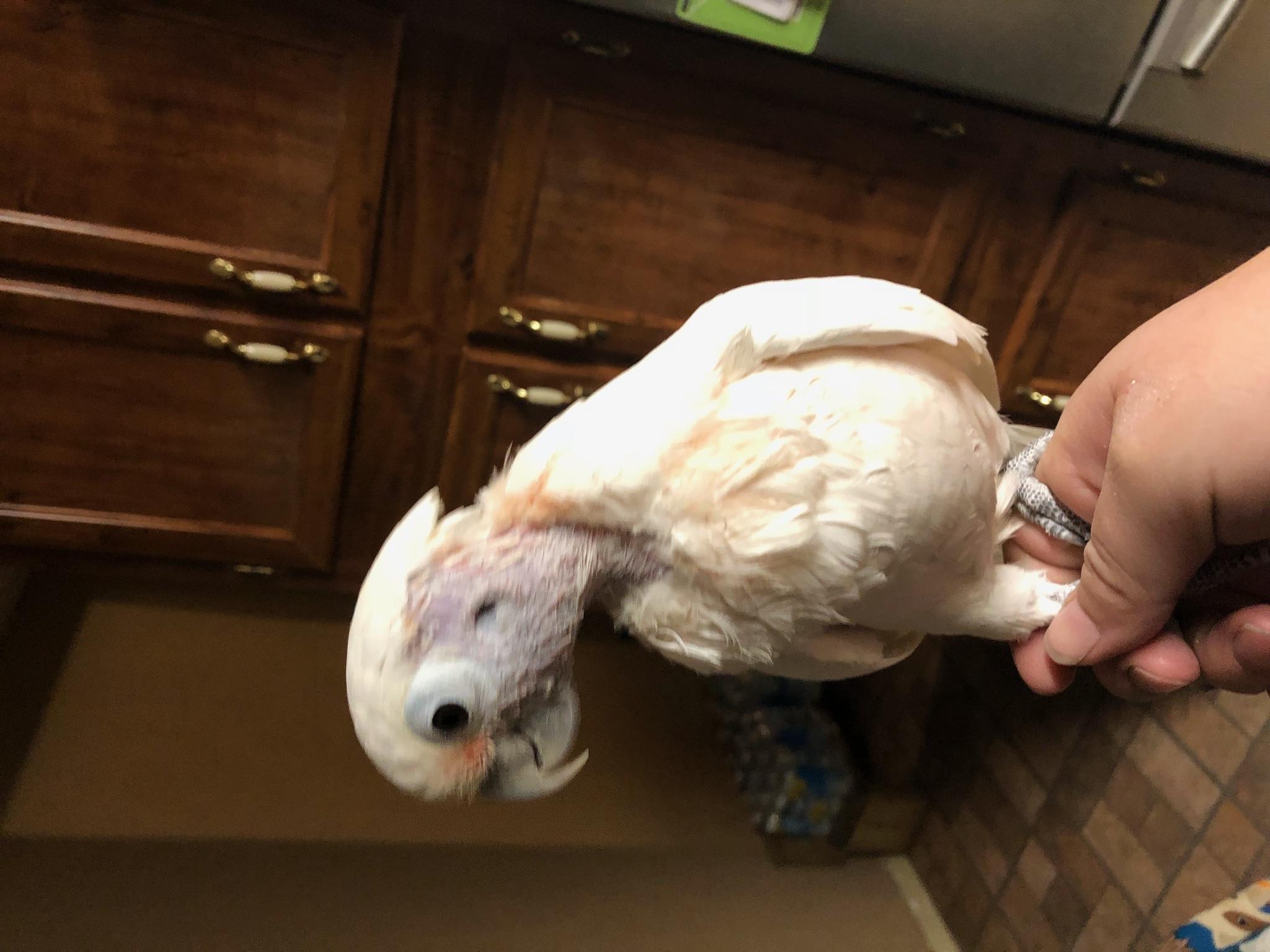 Question details sensitive content