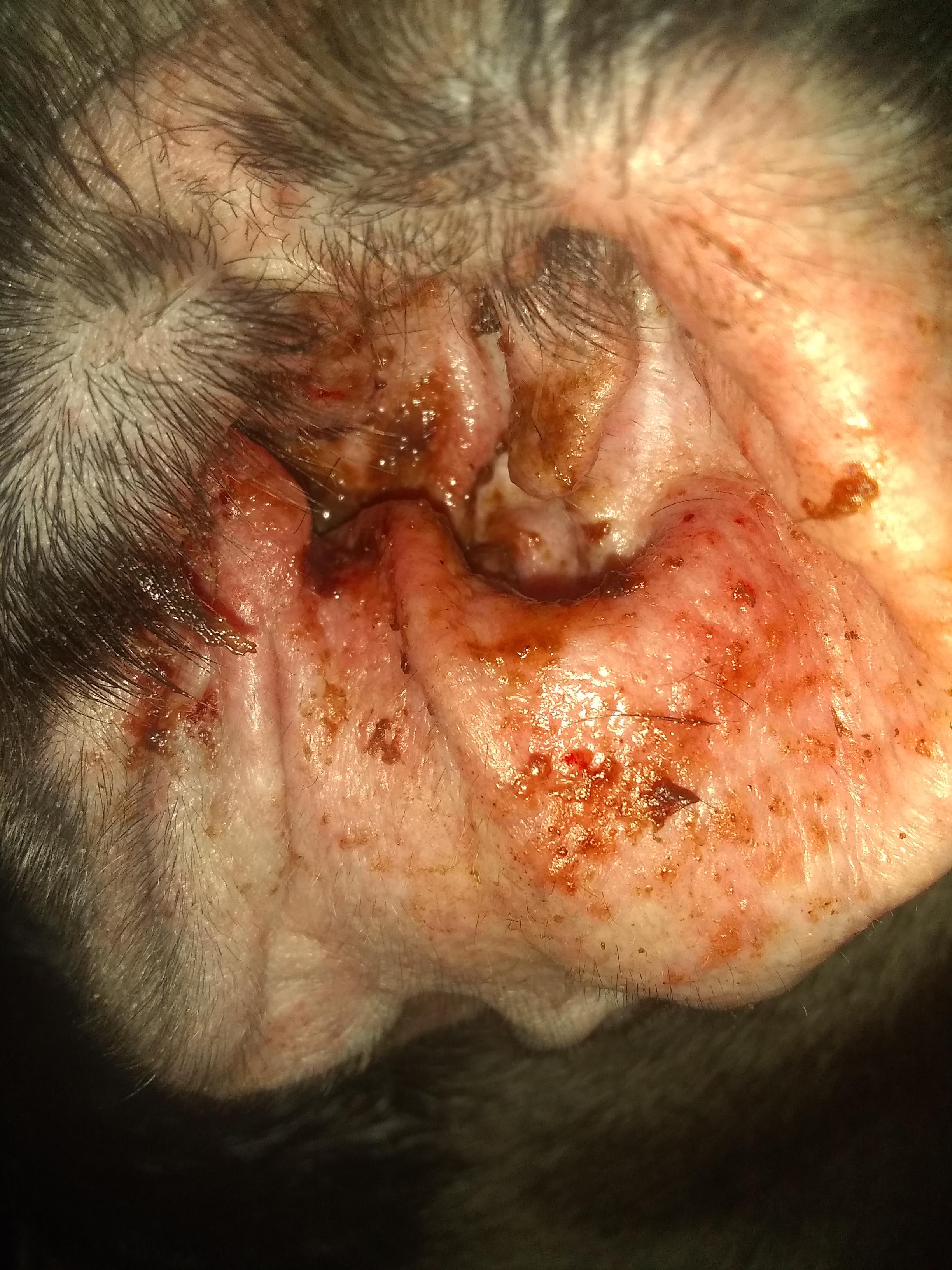 Question details sensitive content