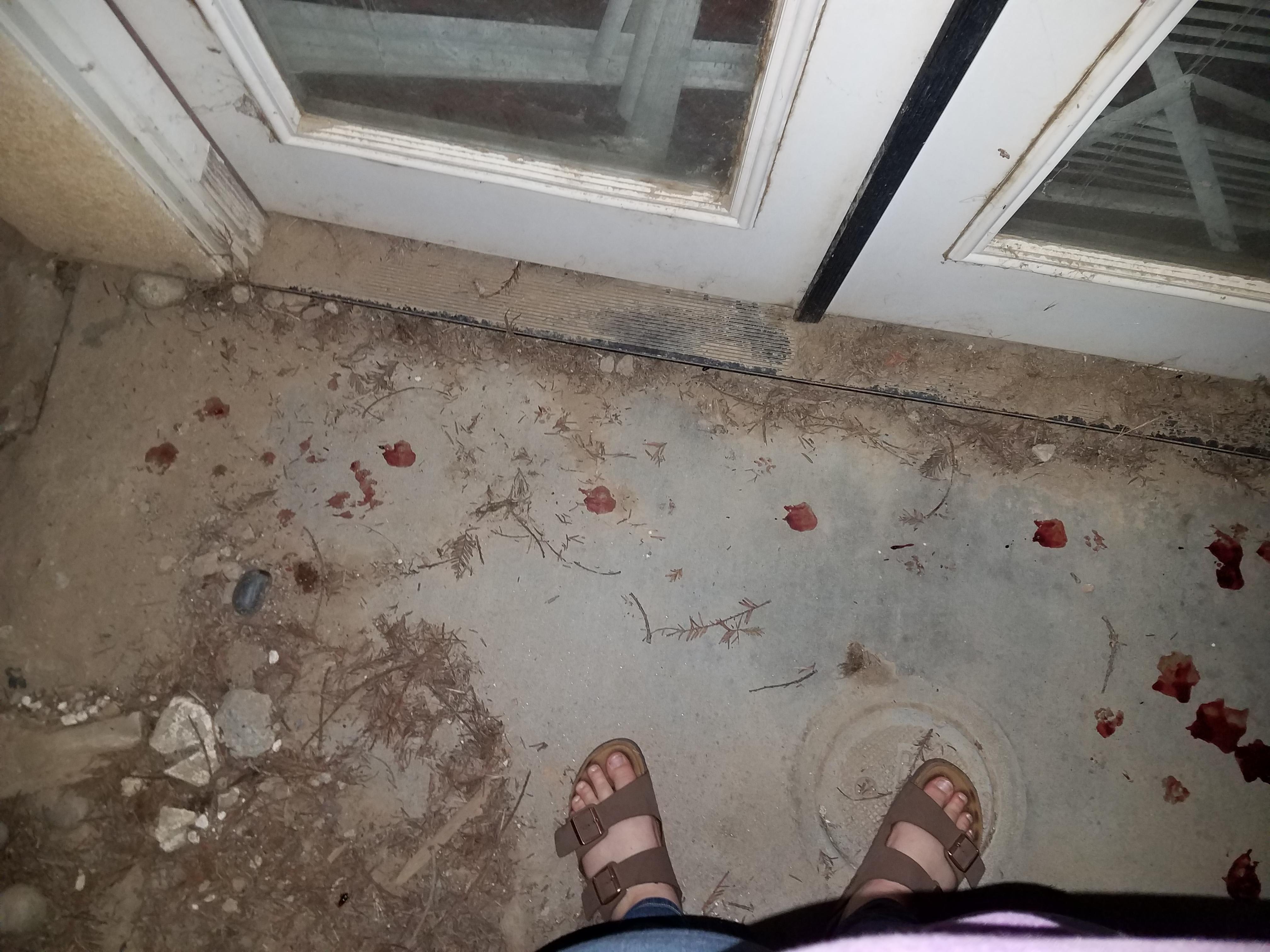 Question details sensitive content