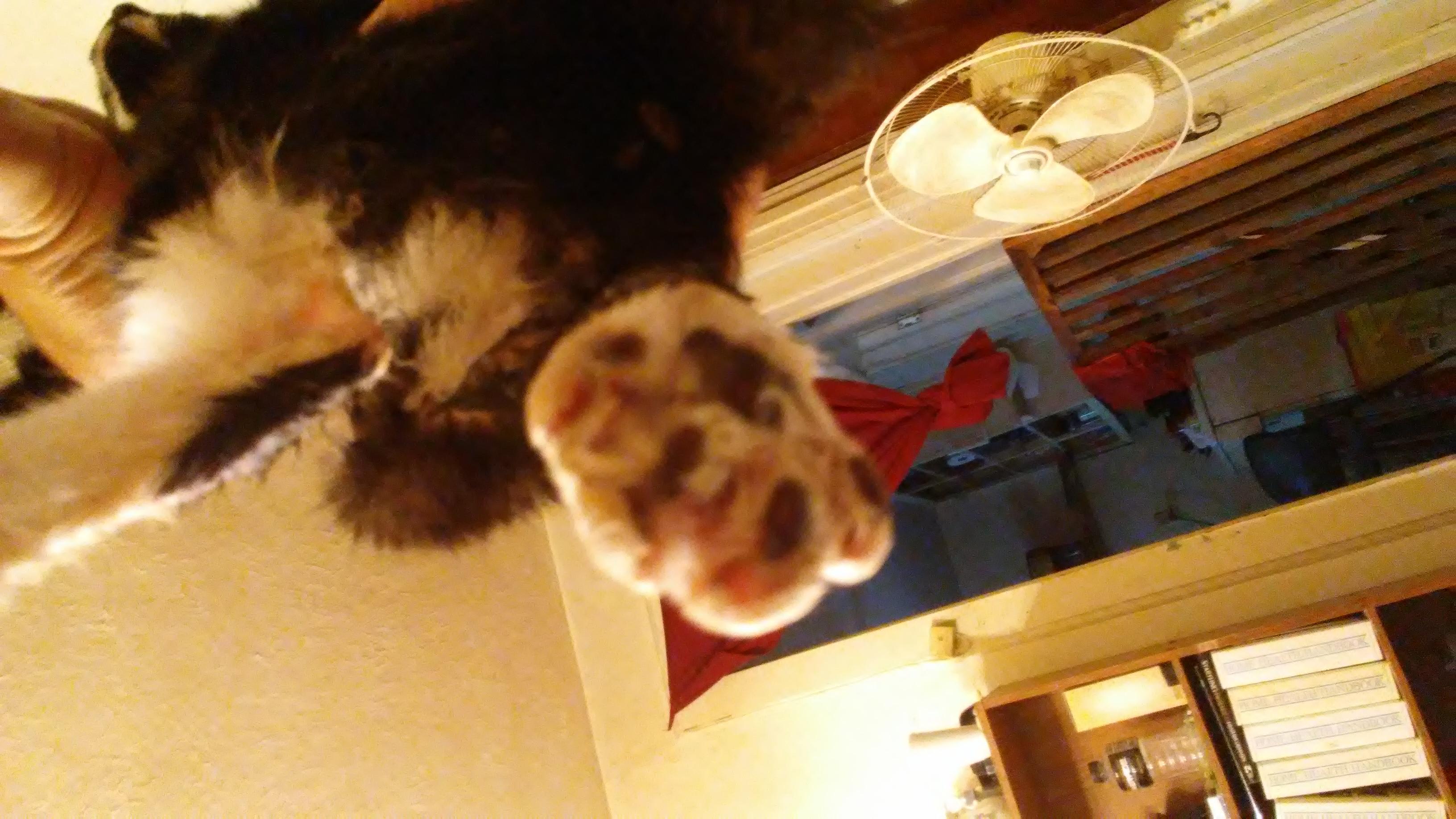 Question details sensitive content