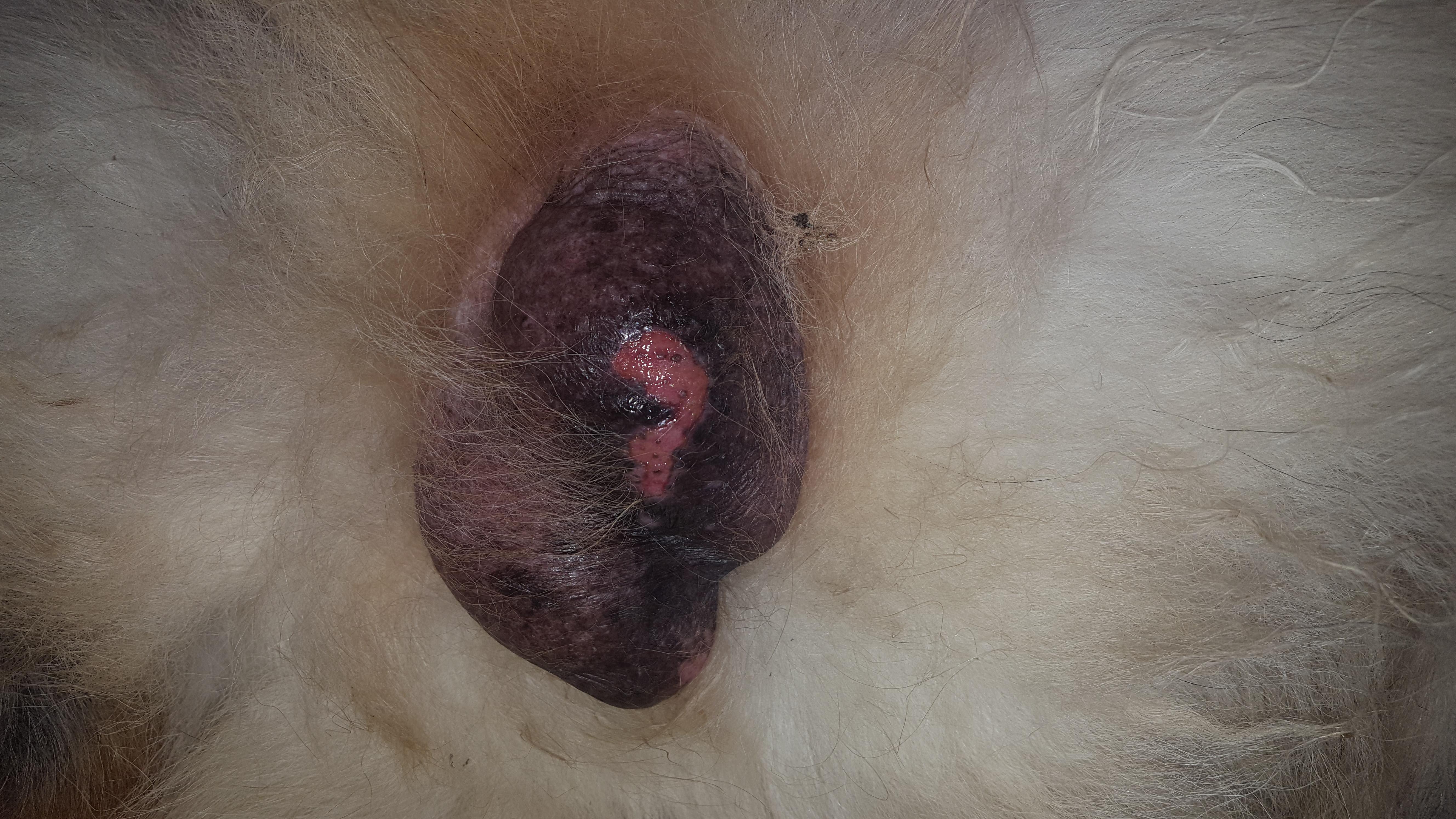 Question details sensitive content