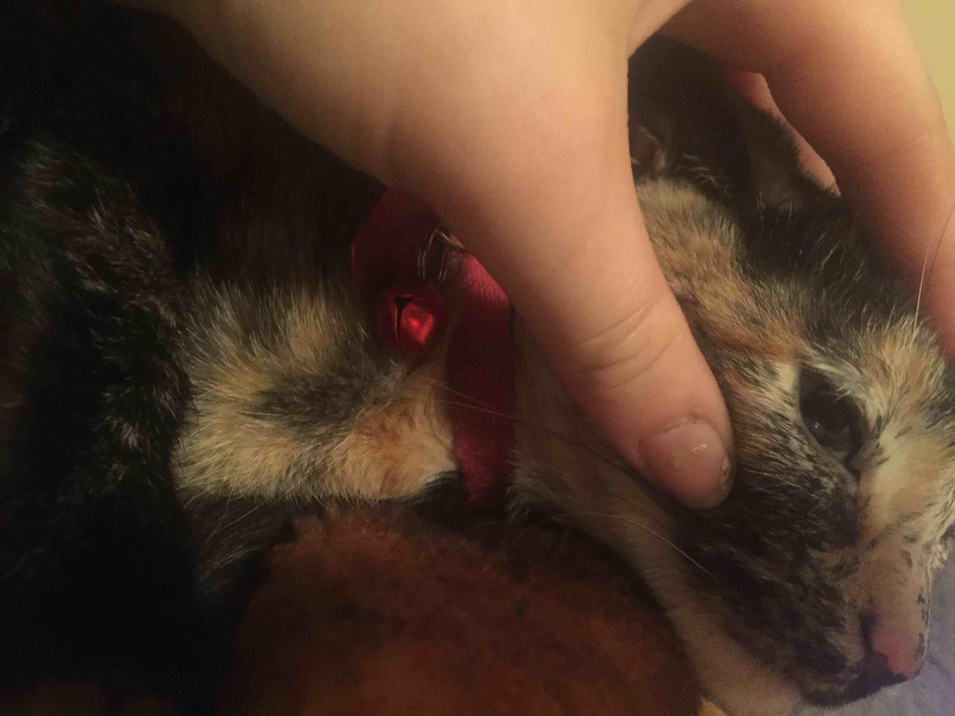 Question details sensitive content