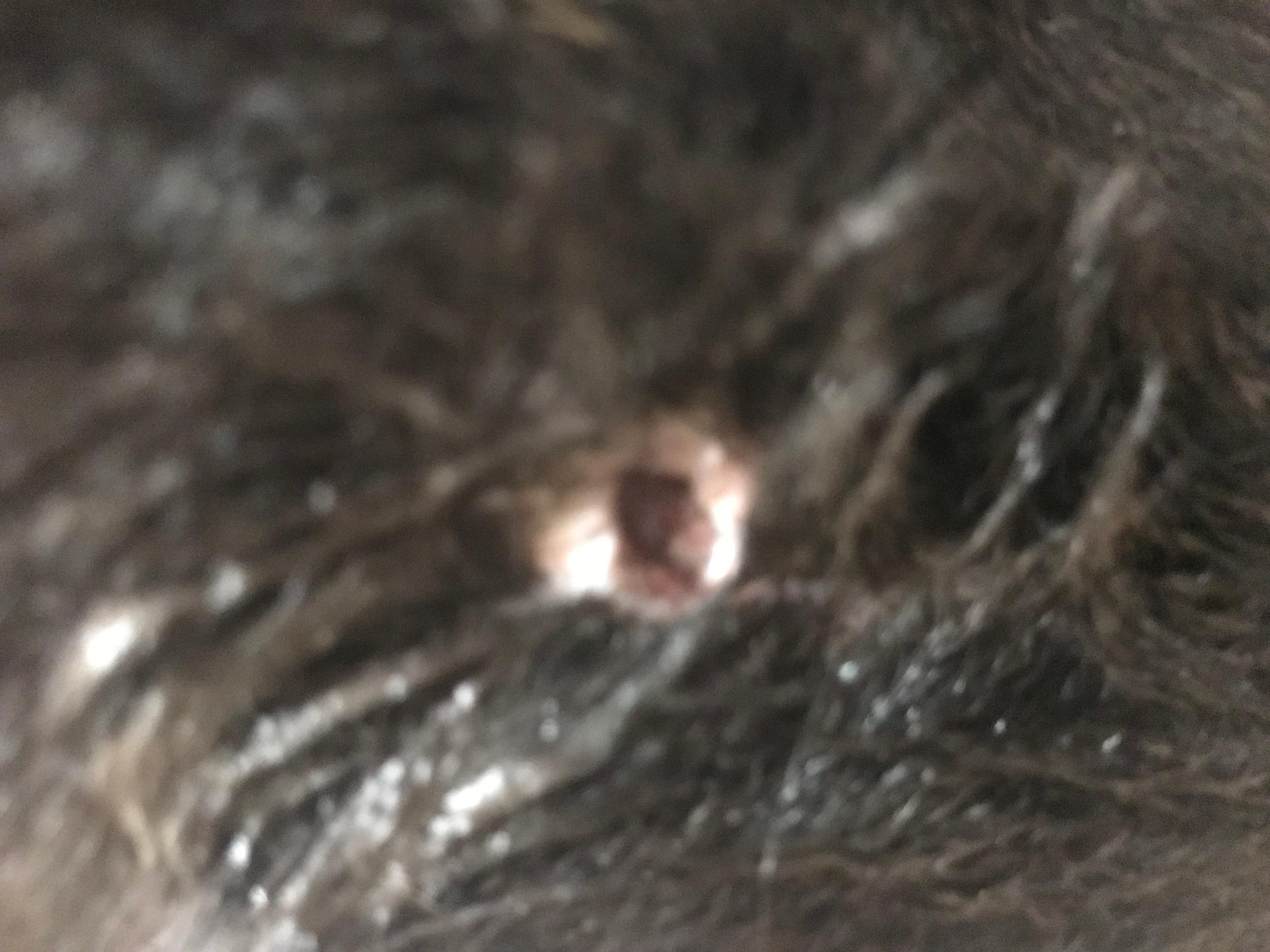 Question details sensitive content