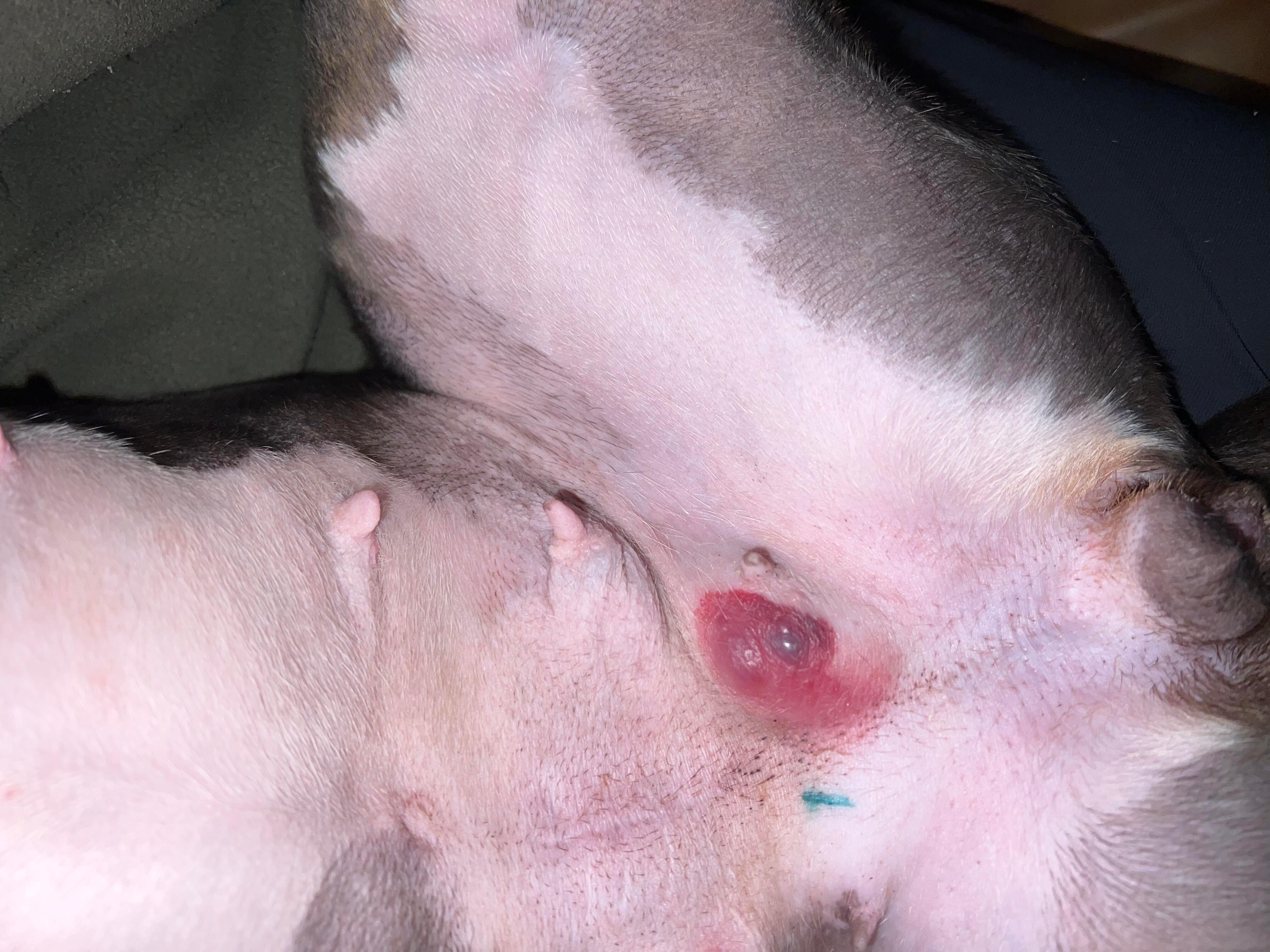 Question details sensitive content