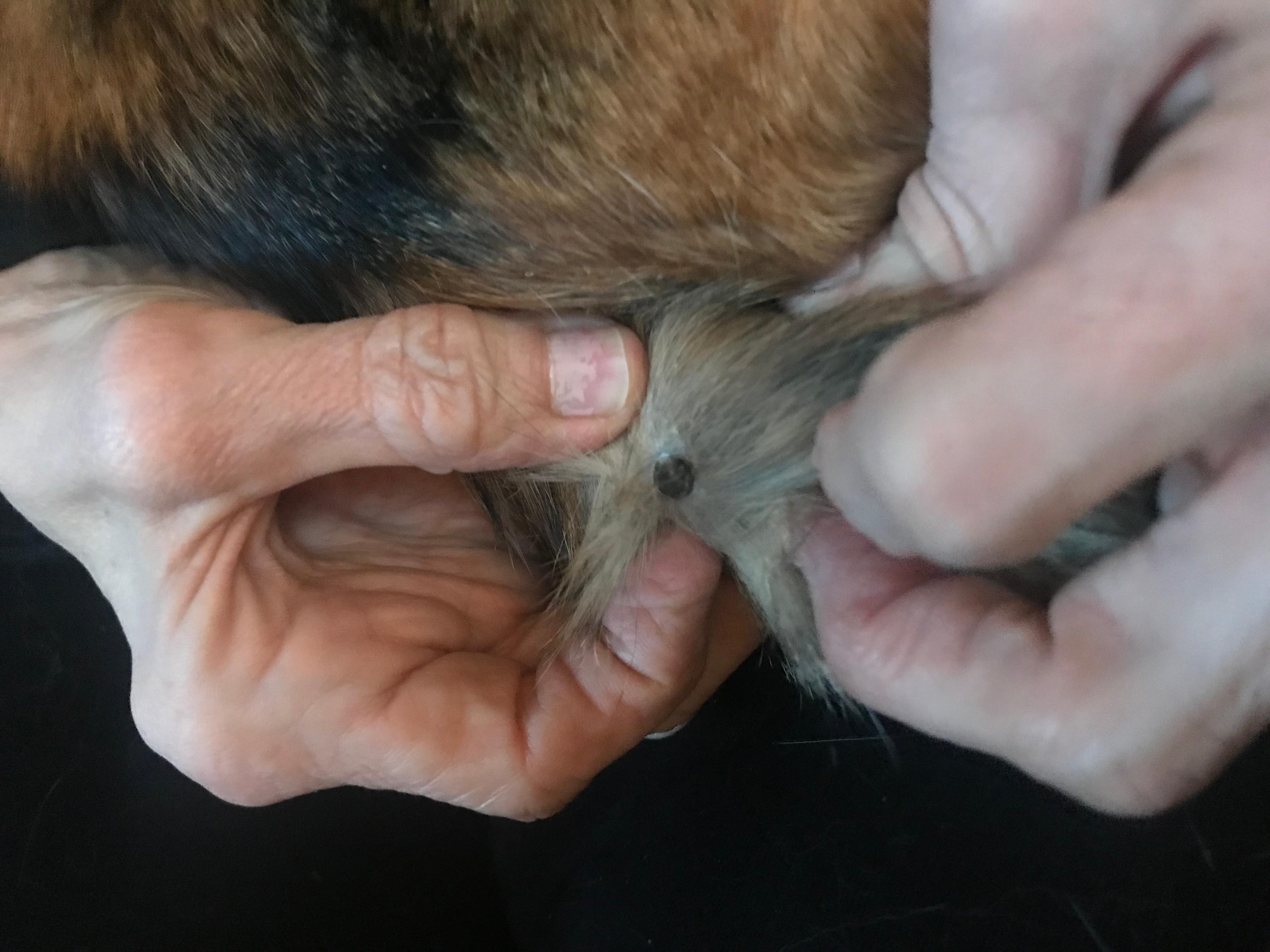 Question details sensitive content