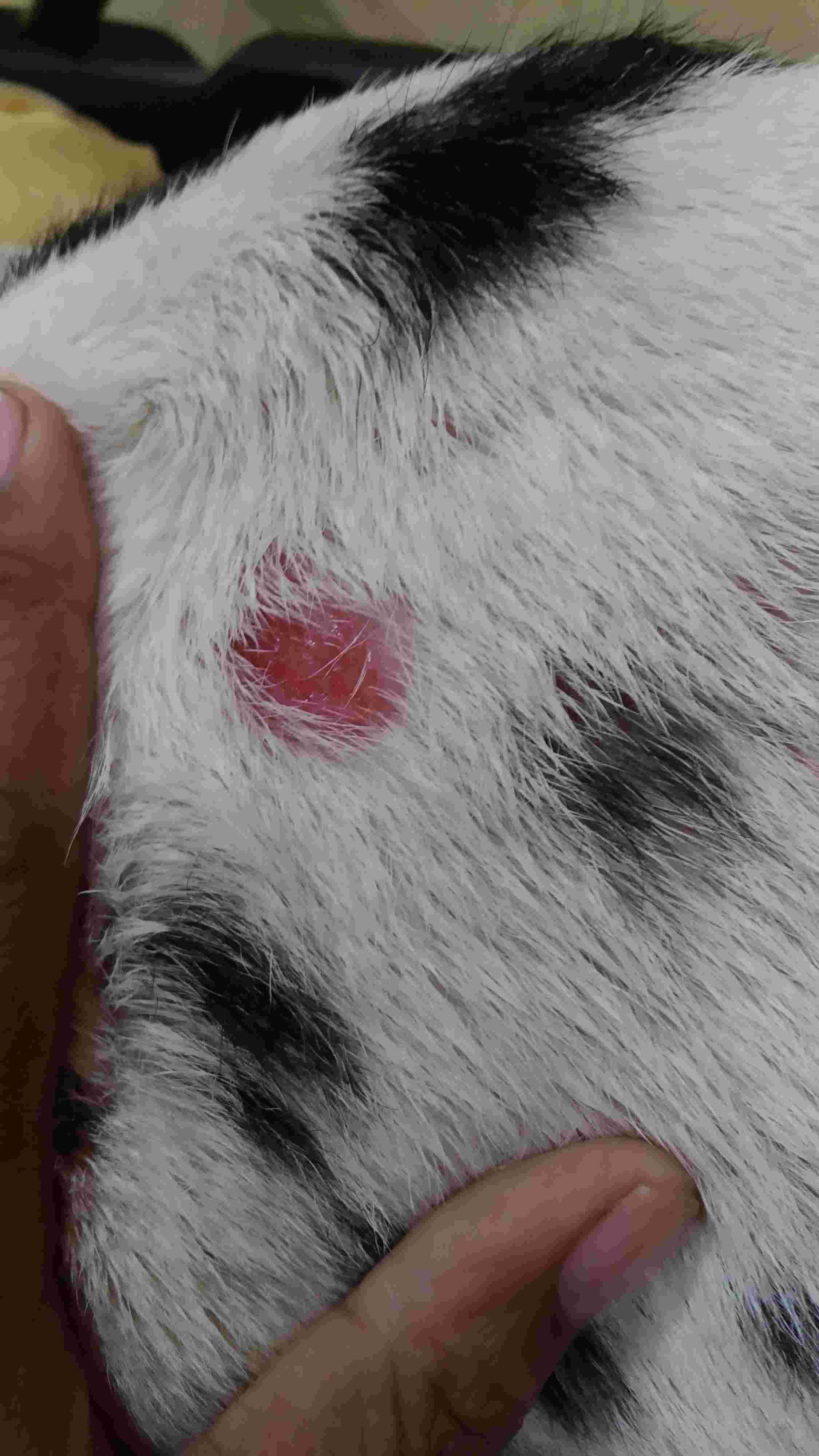 Question details sensitive content