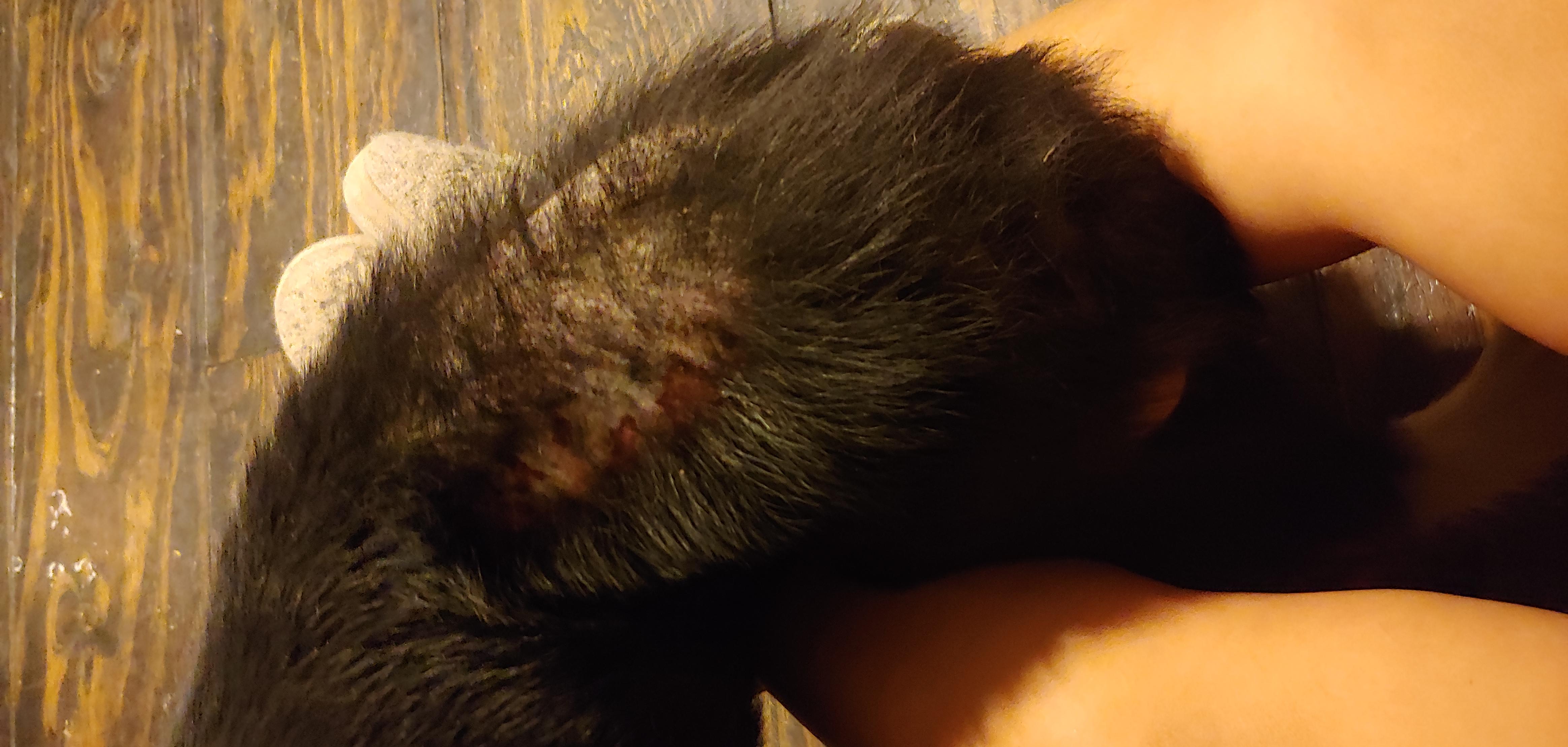 Question details sensitive content