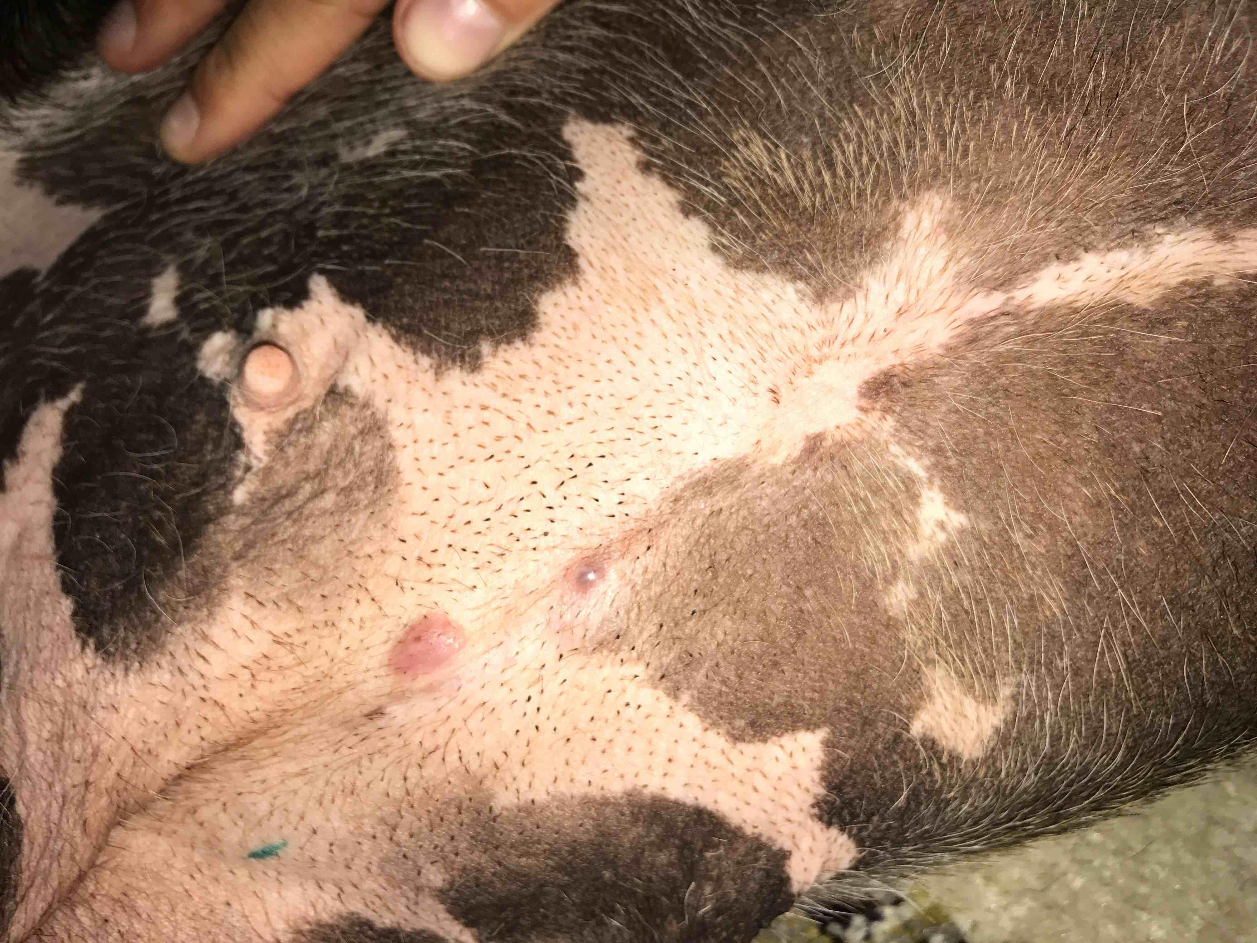 Question details sensitive content