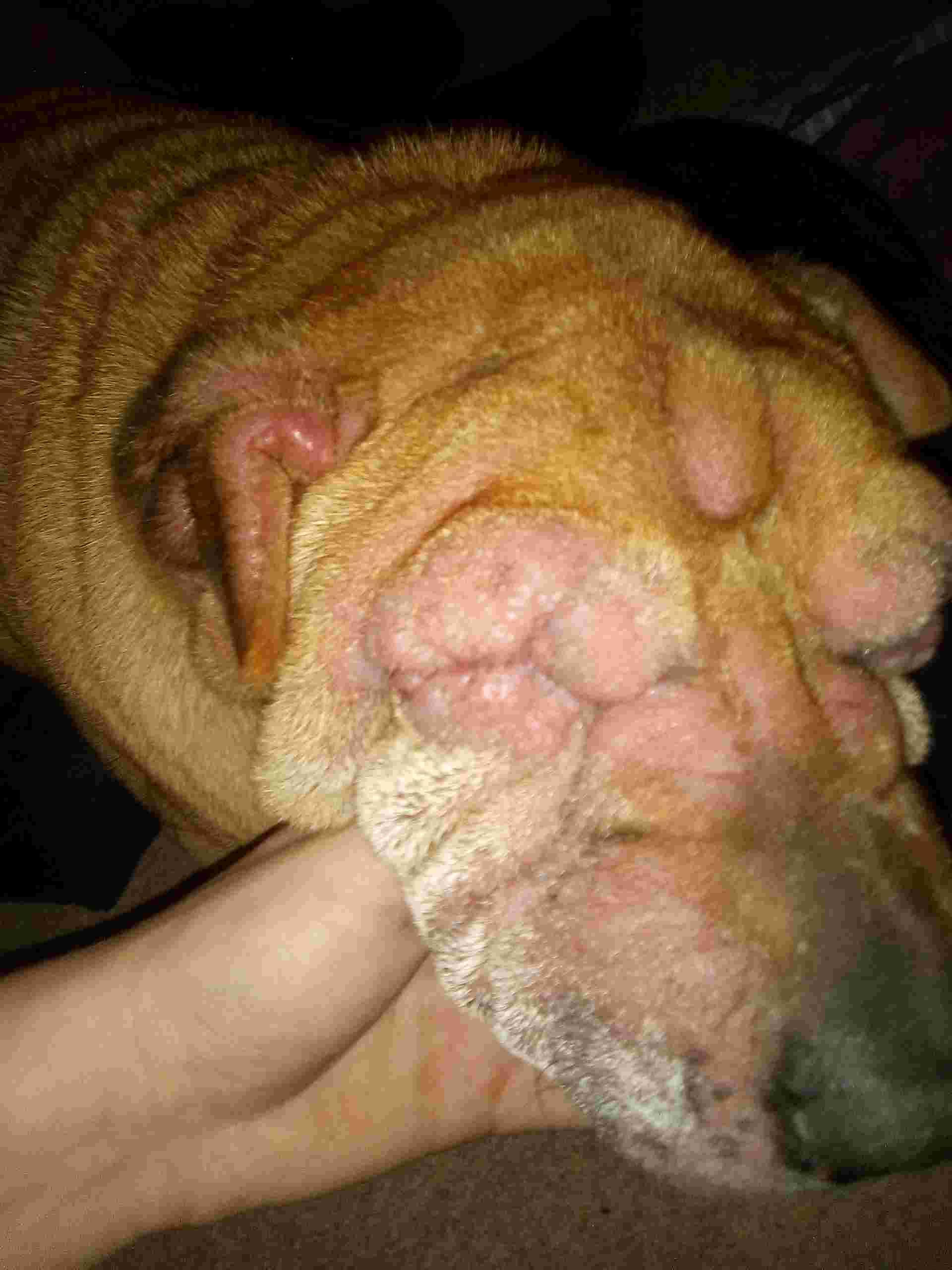 Question details sensitive content