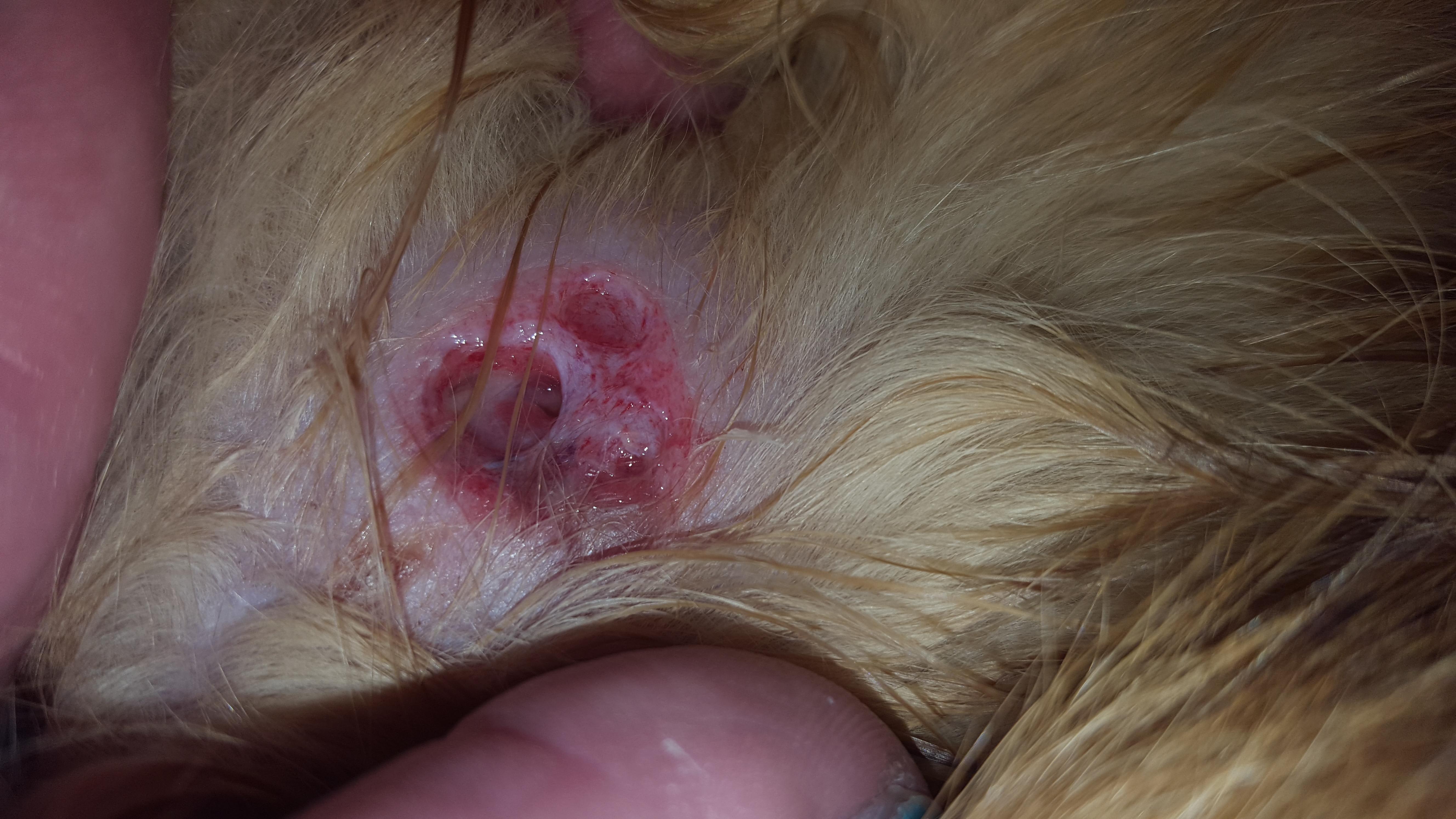 Question details sensitive content