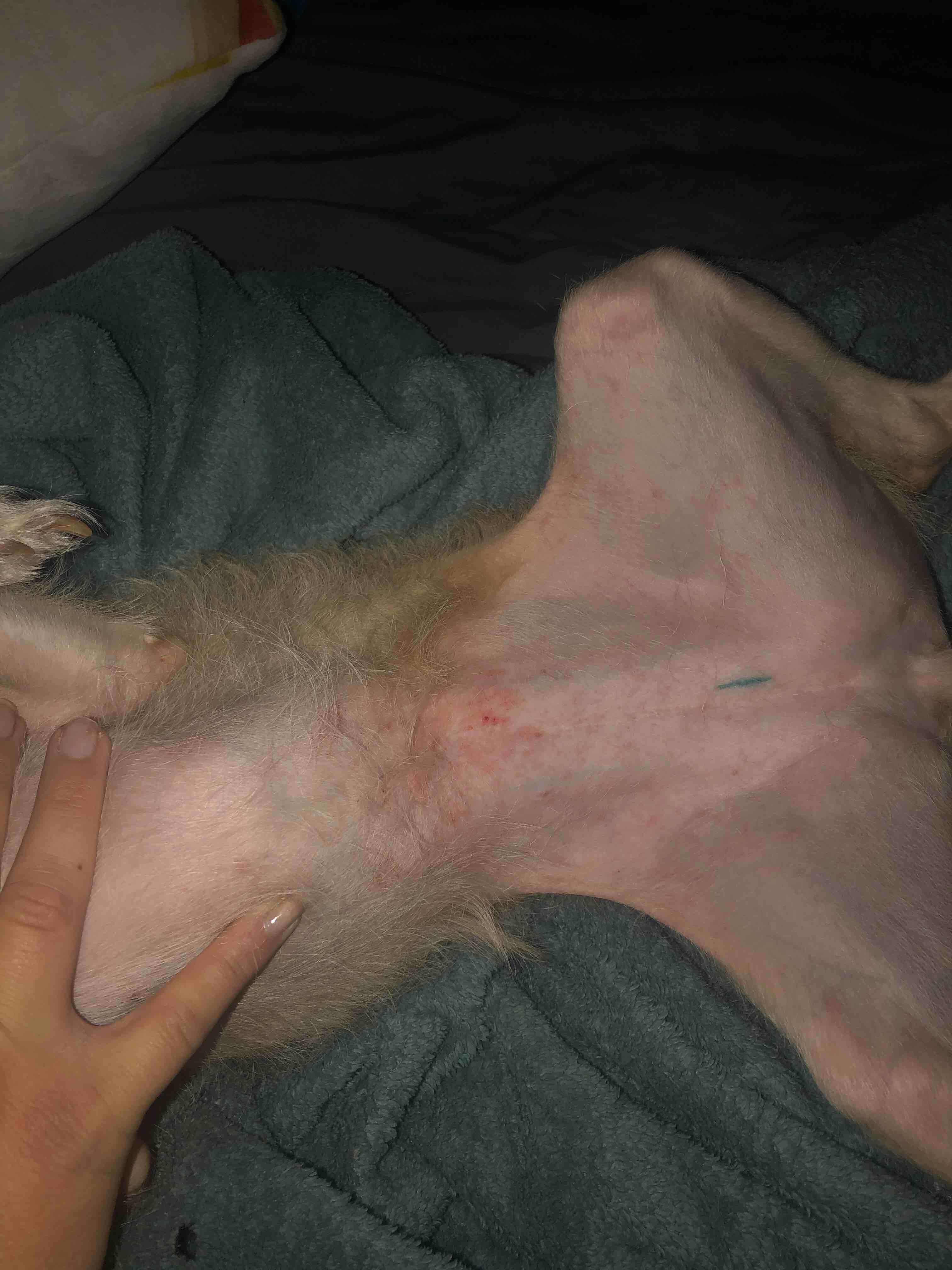 Question details sensitive content