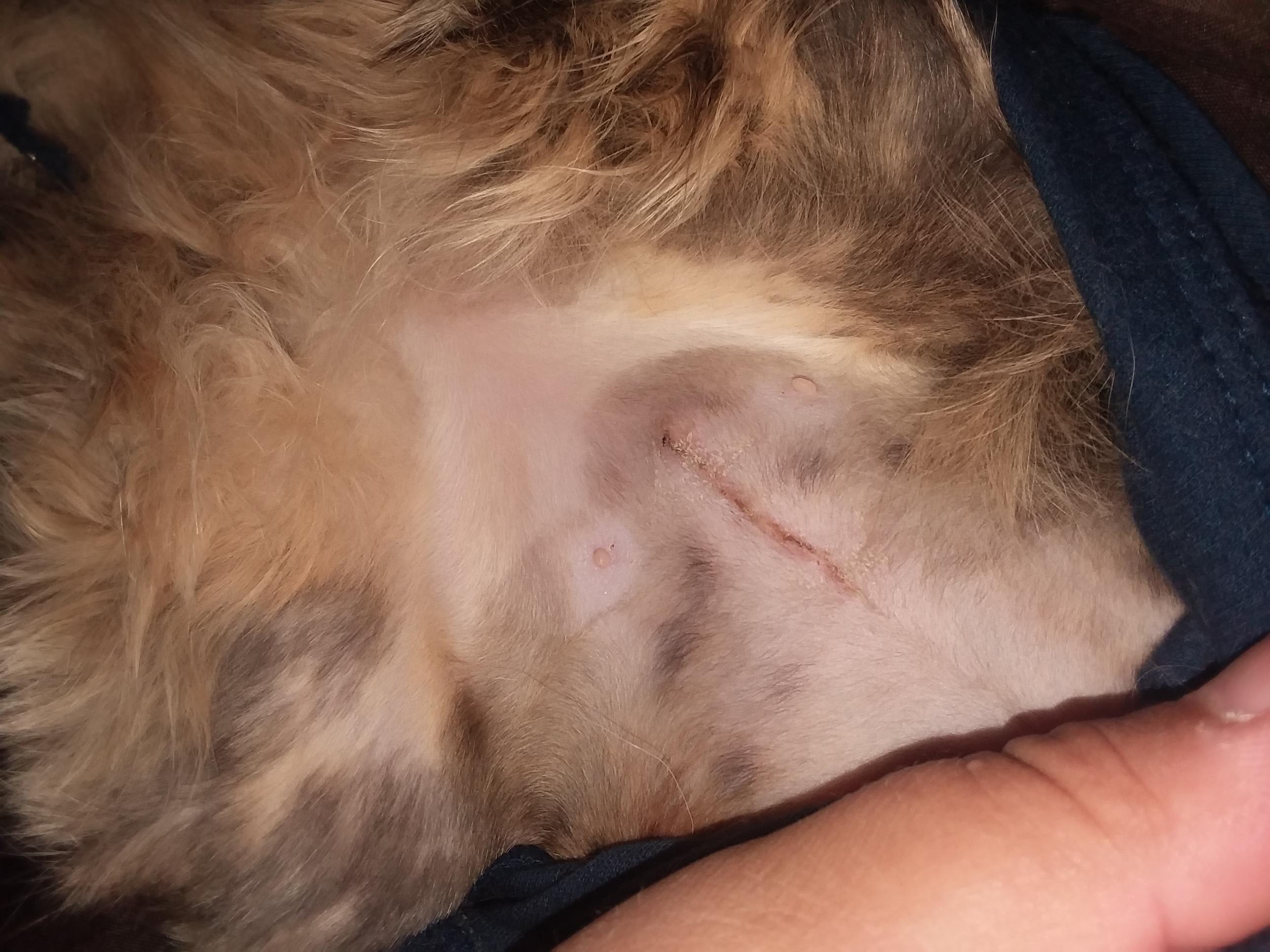 Question details sensitive content