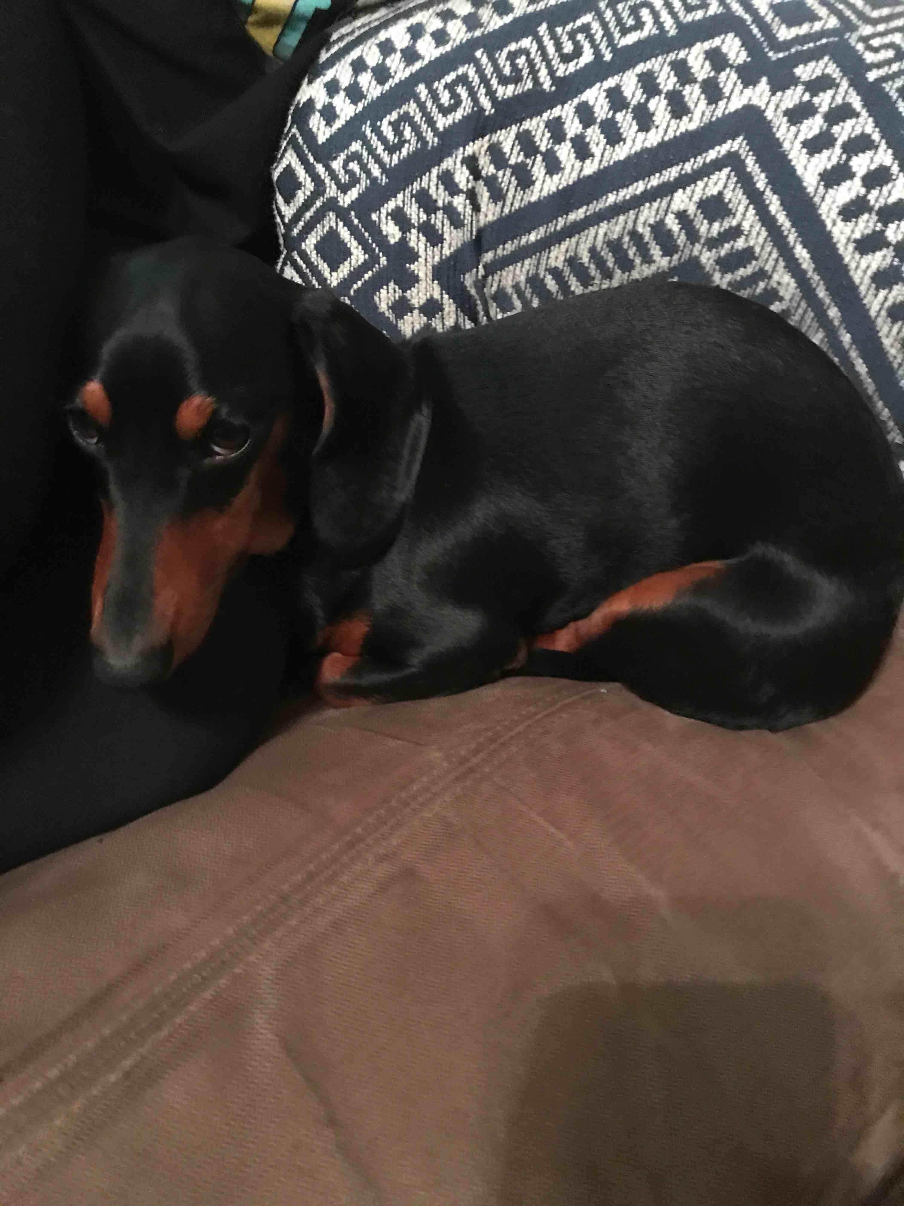 Question details sensitive content