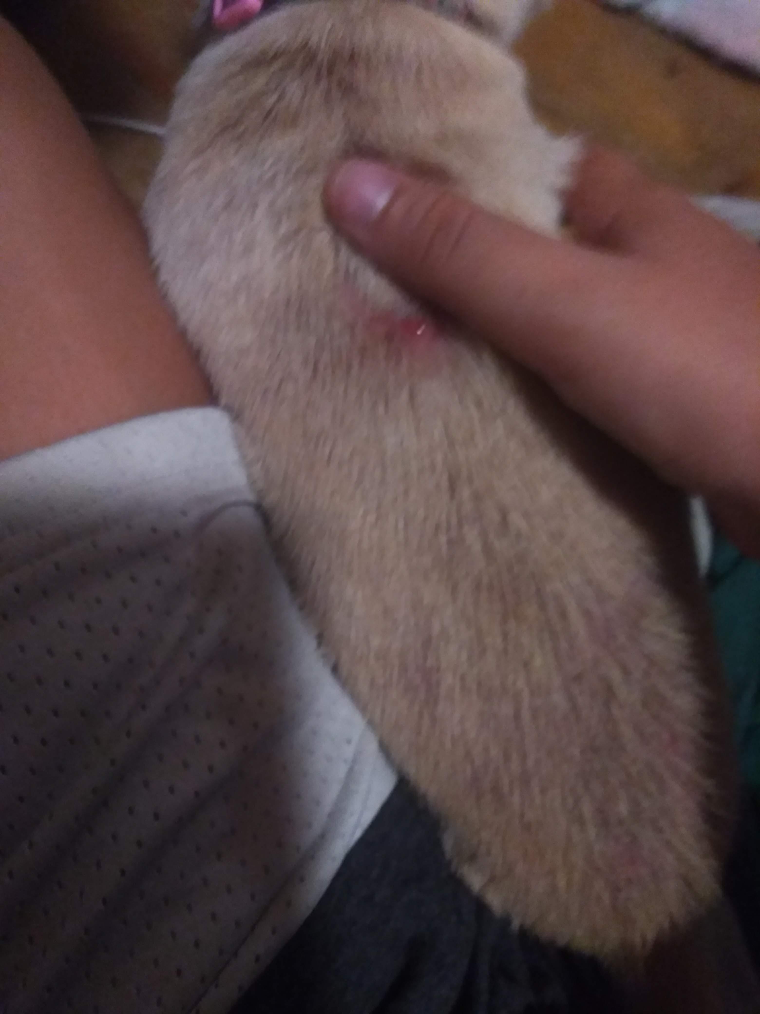 Question details sensitive content