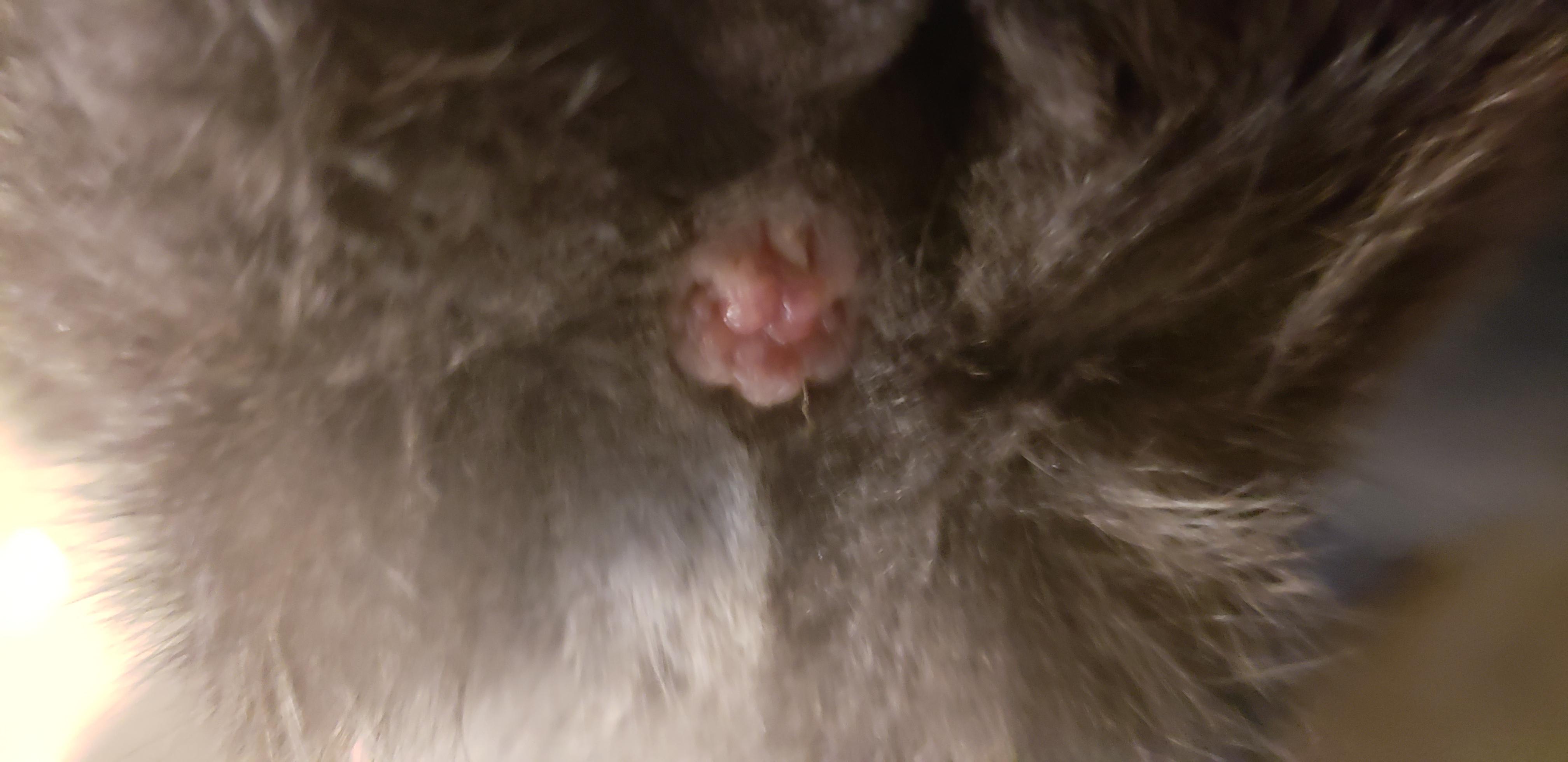 Question details sensitive content