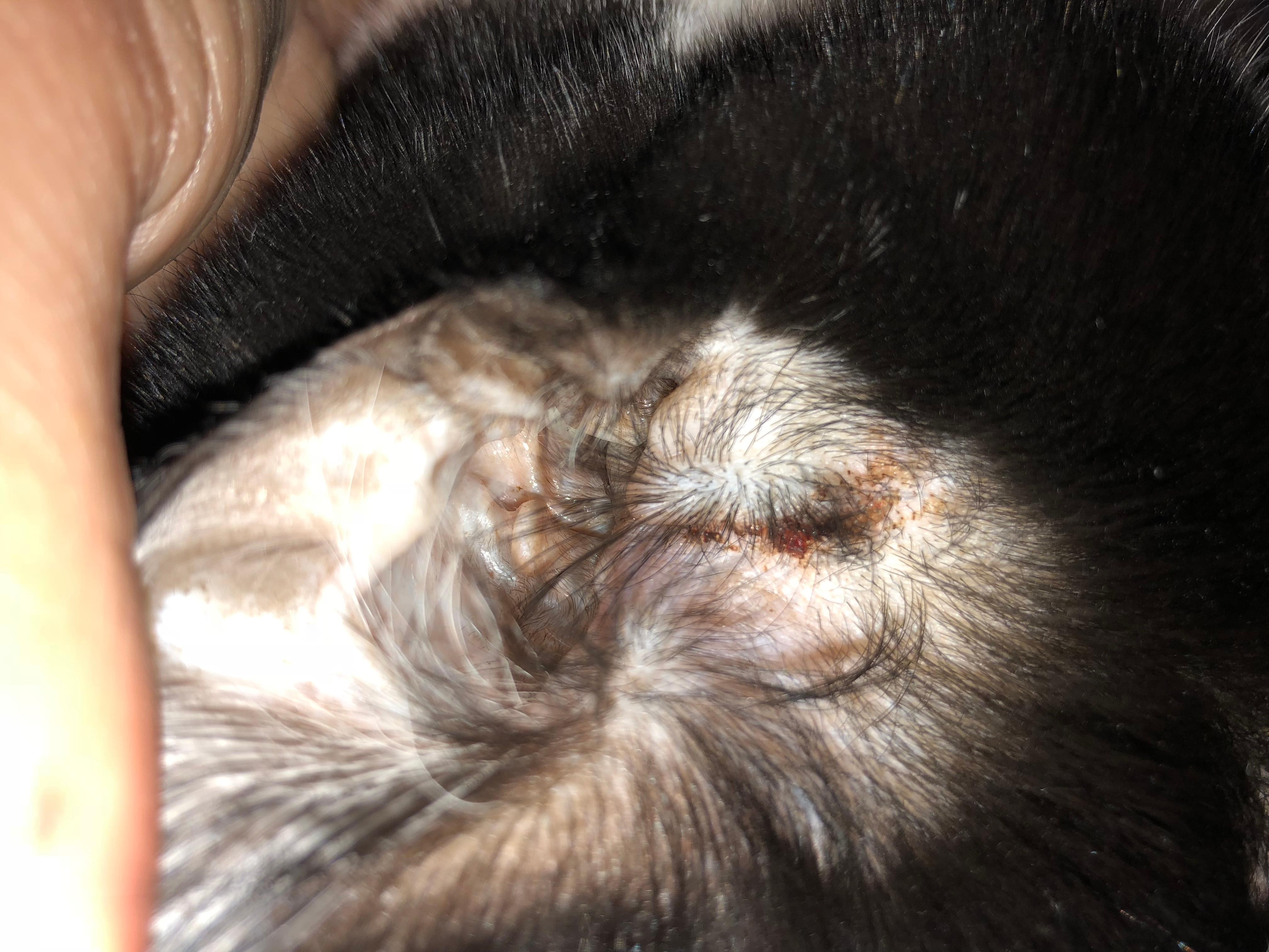 Question details sensitive content